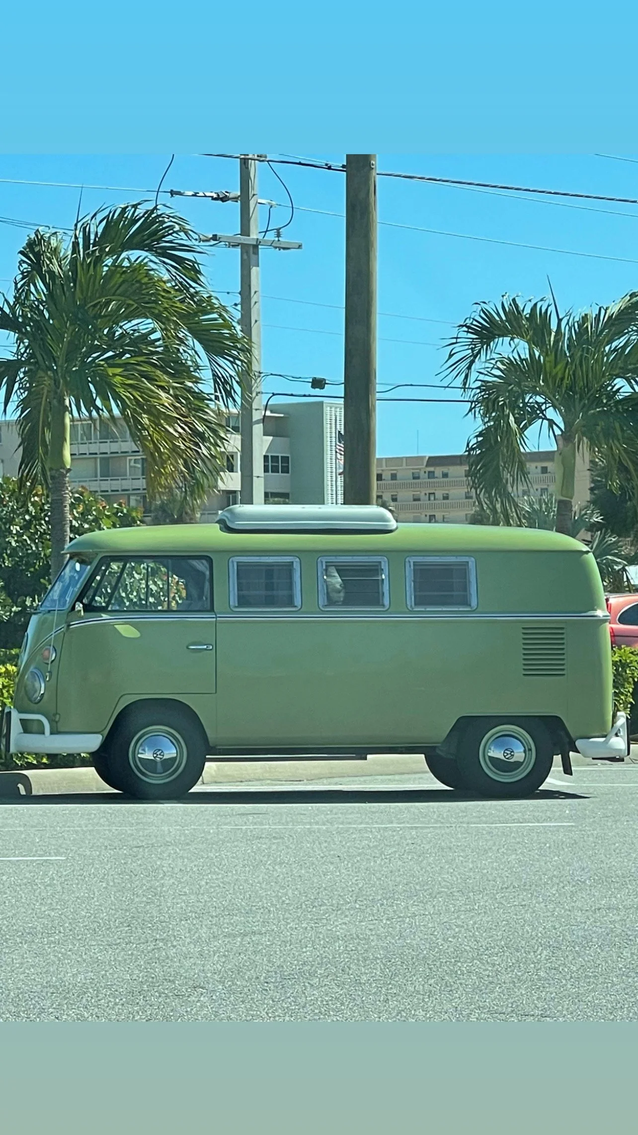 A light green vintage Volkswagen van parked on the side of a street with palm trees and utility poles in the background.