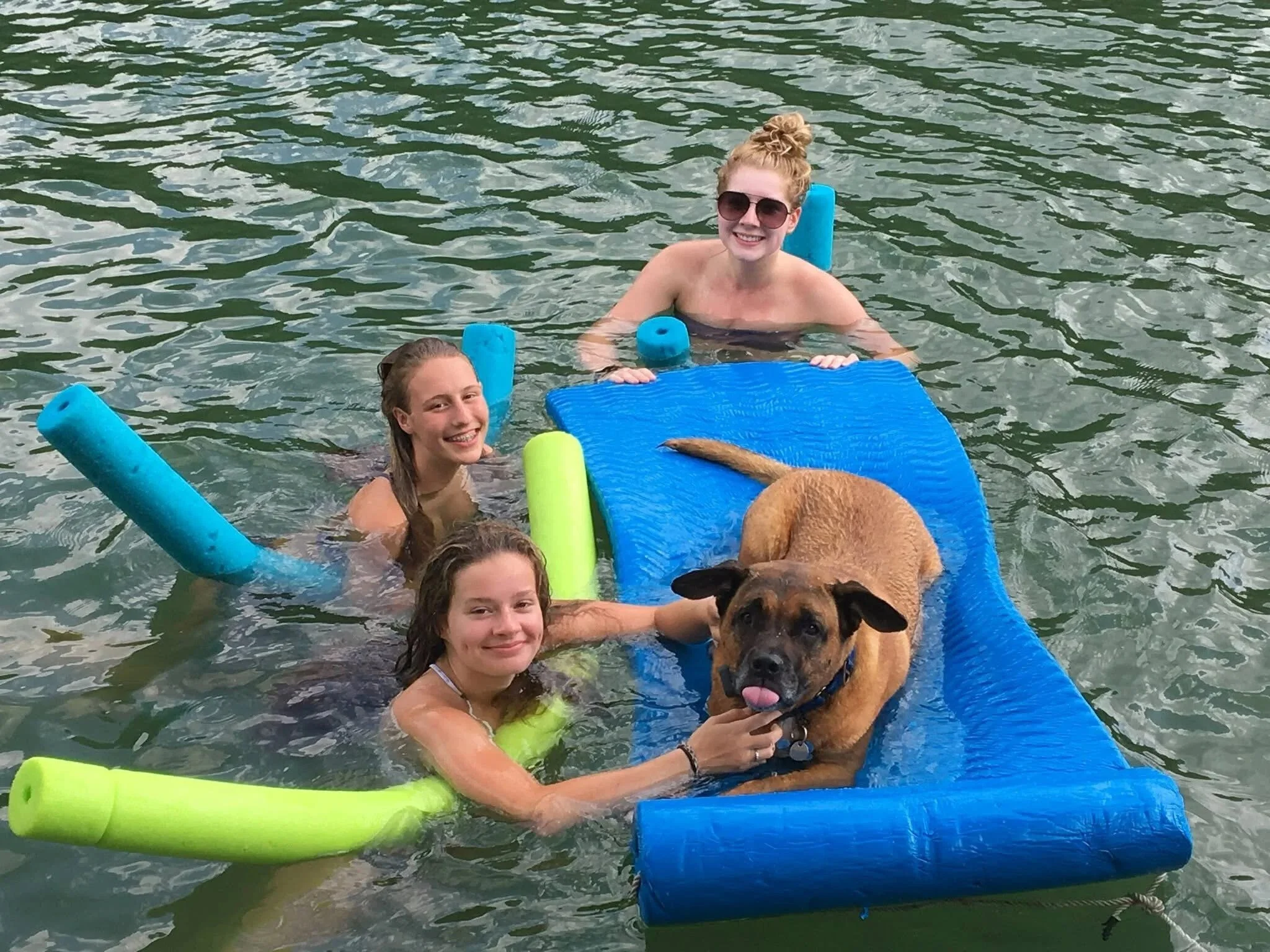 Optional: Swimming — Enjoy the clean waters of Lewis Smith Reservoir.