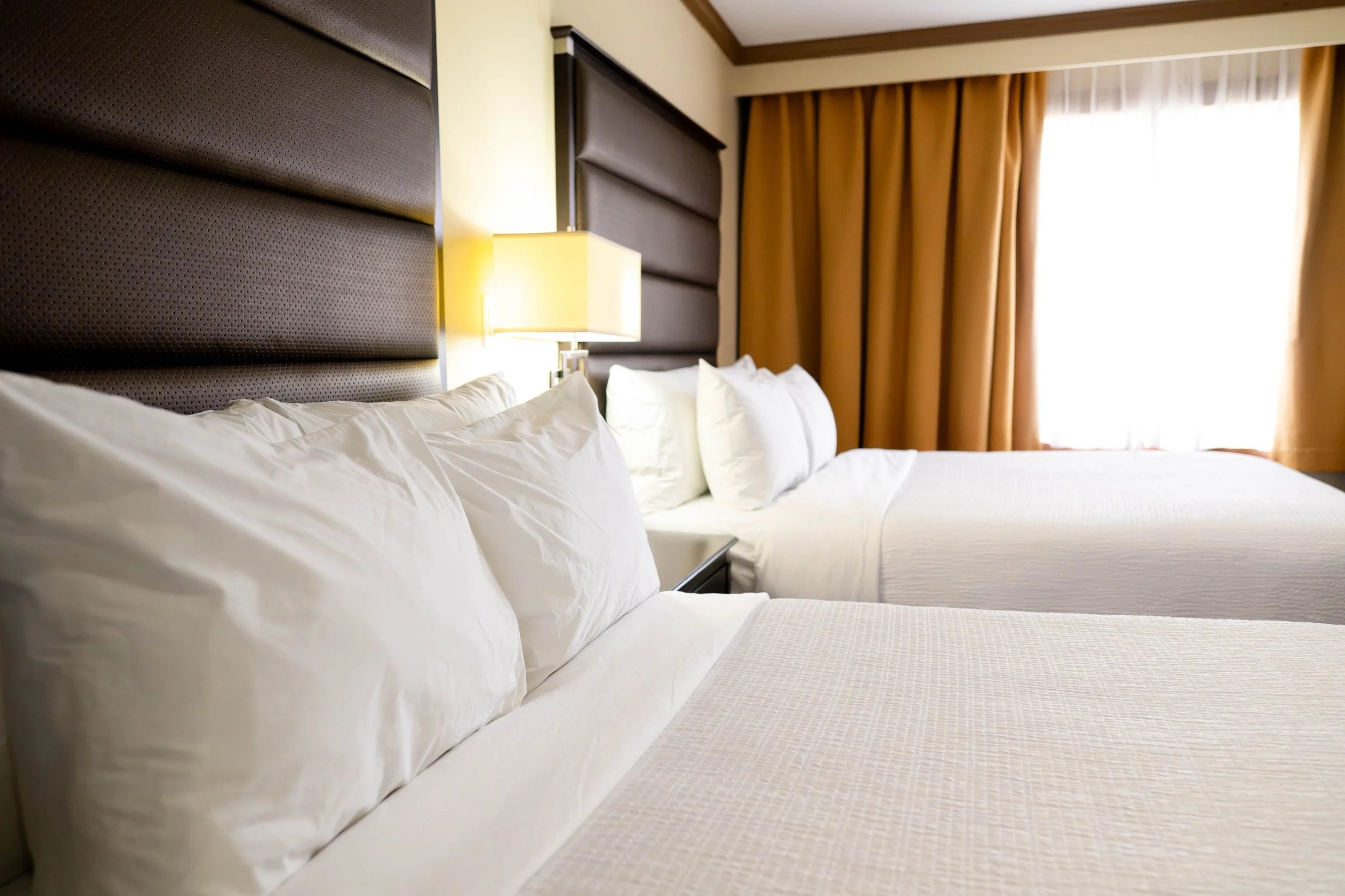 hotel guest rooms for banquet event guests leduc downtown airport yeg suite rooms
