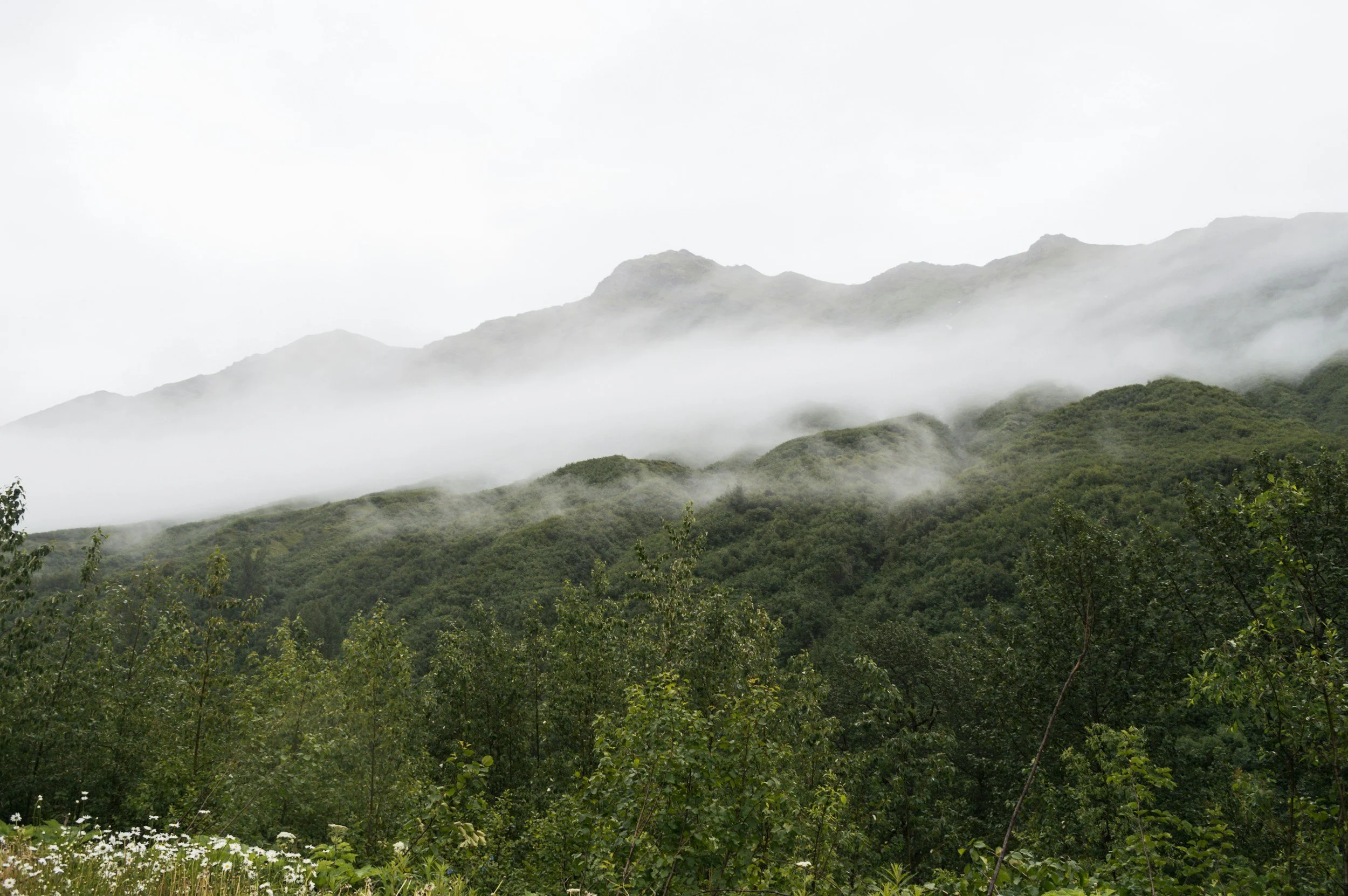 Blick auf einen vernebelten Berg