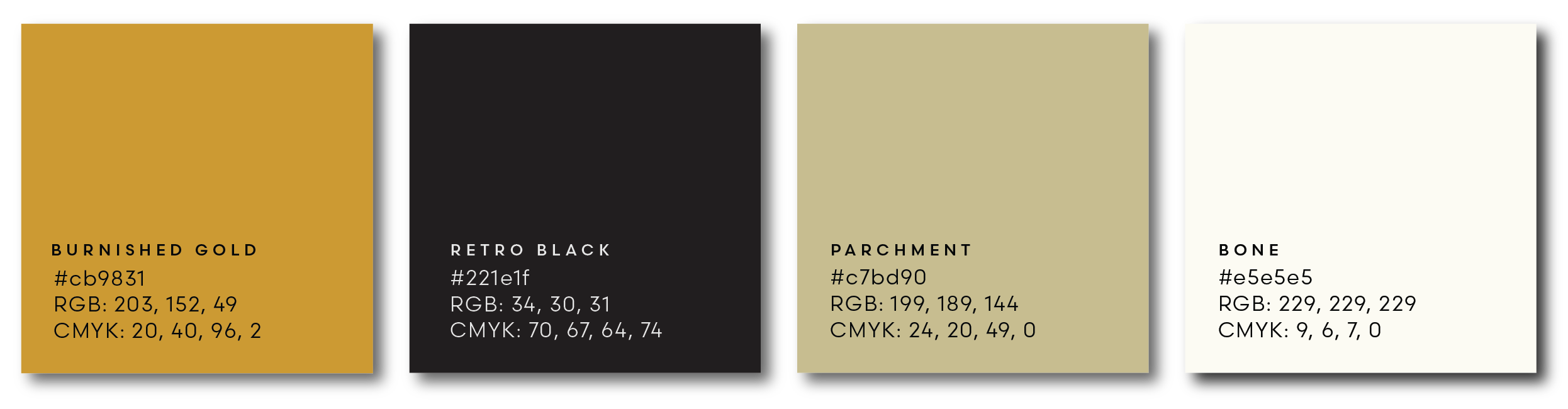 Color palette with four color swatches and their color codes: Burnished Gold, Retro Black, Parchment, and Bone.
