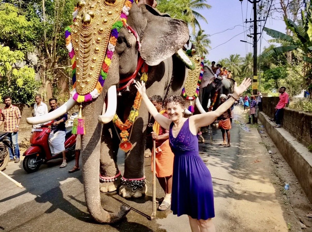 M elephant .jpg