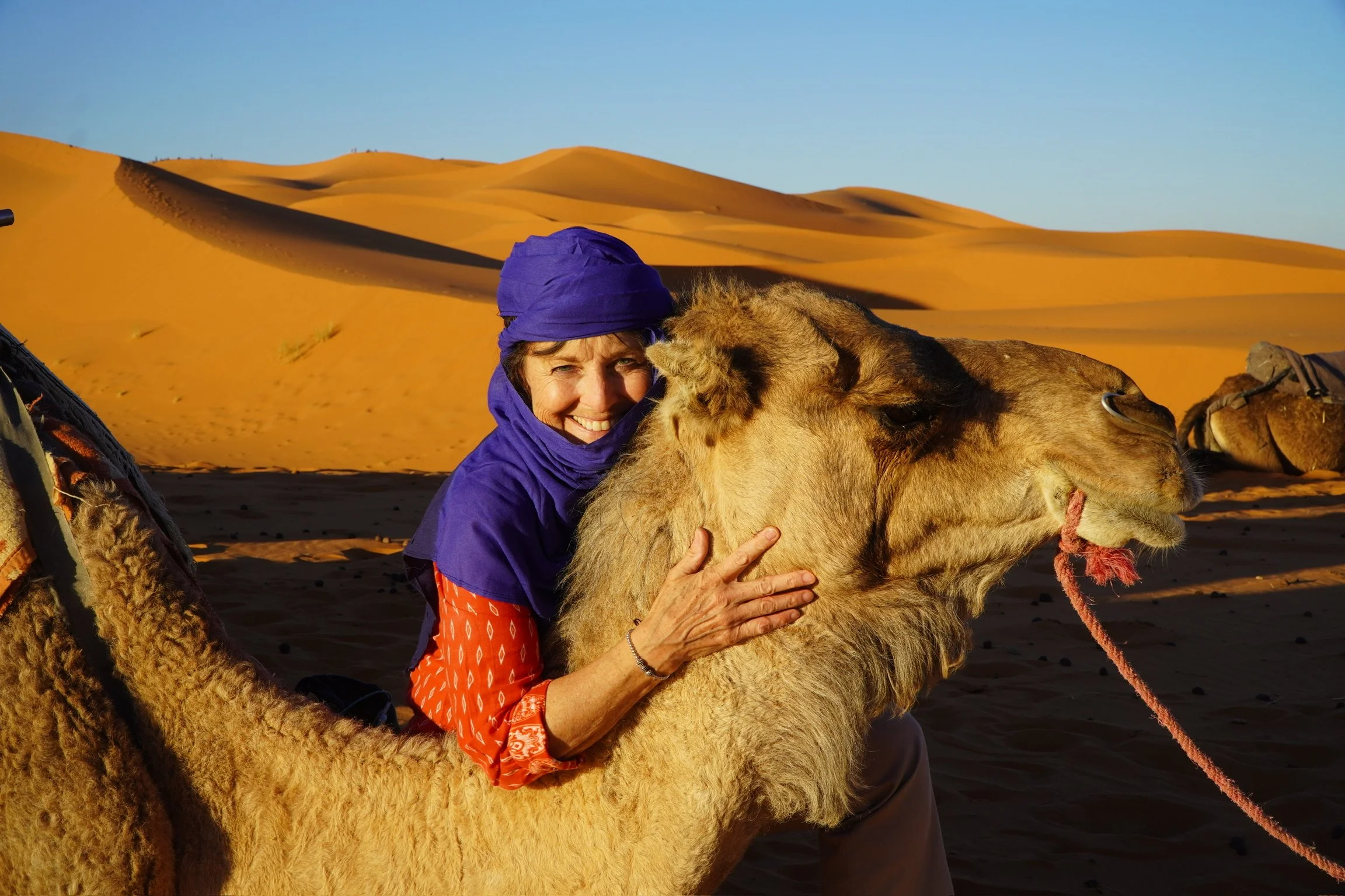 M camel .JPG