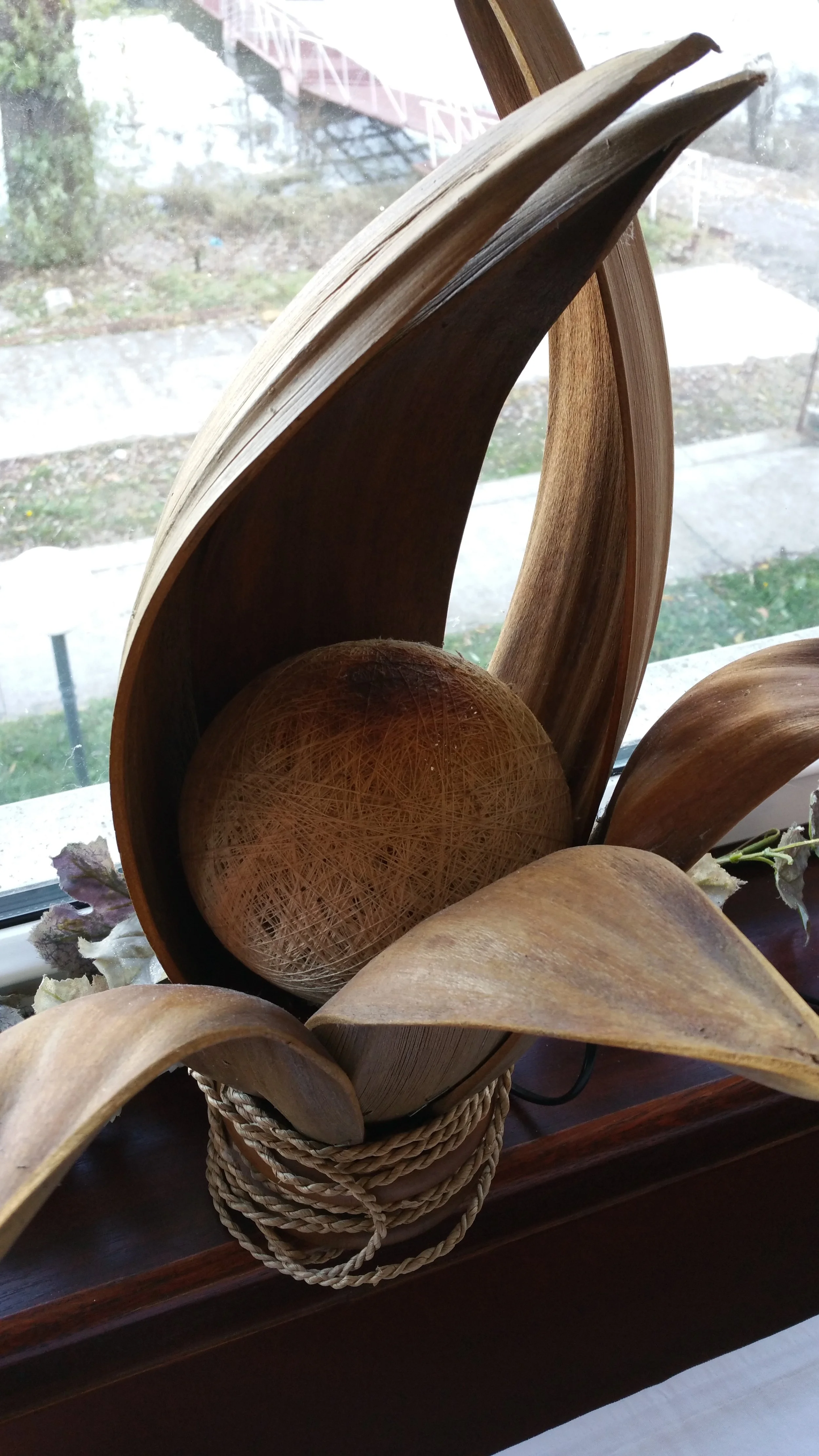 close-up-plant-against-blurred-background.jpg