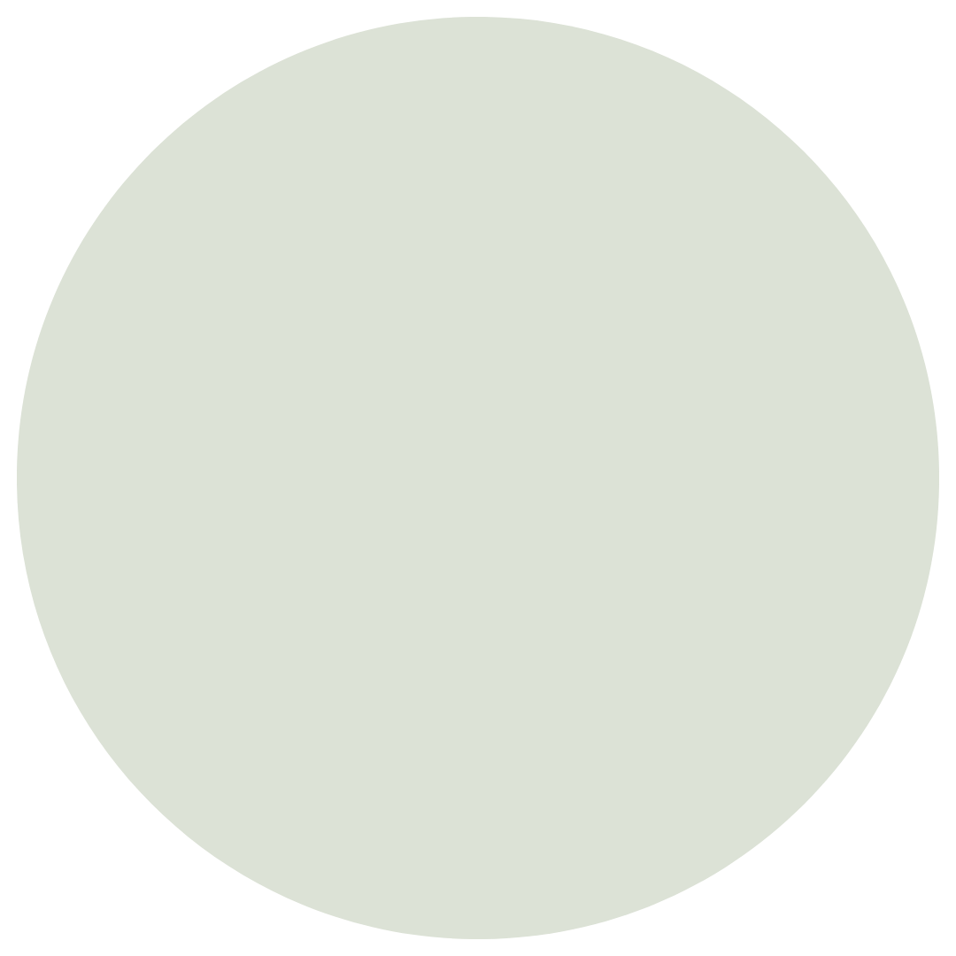 A large, light-colored, smooth, circular shape with no distinguishable features.