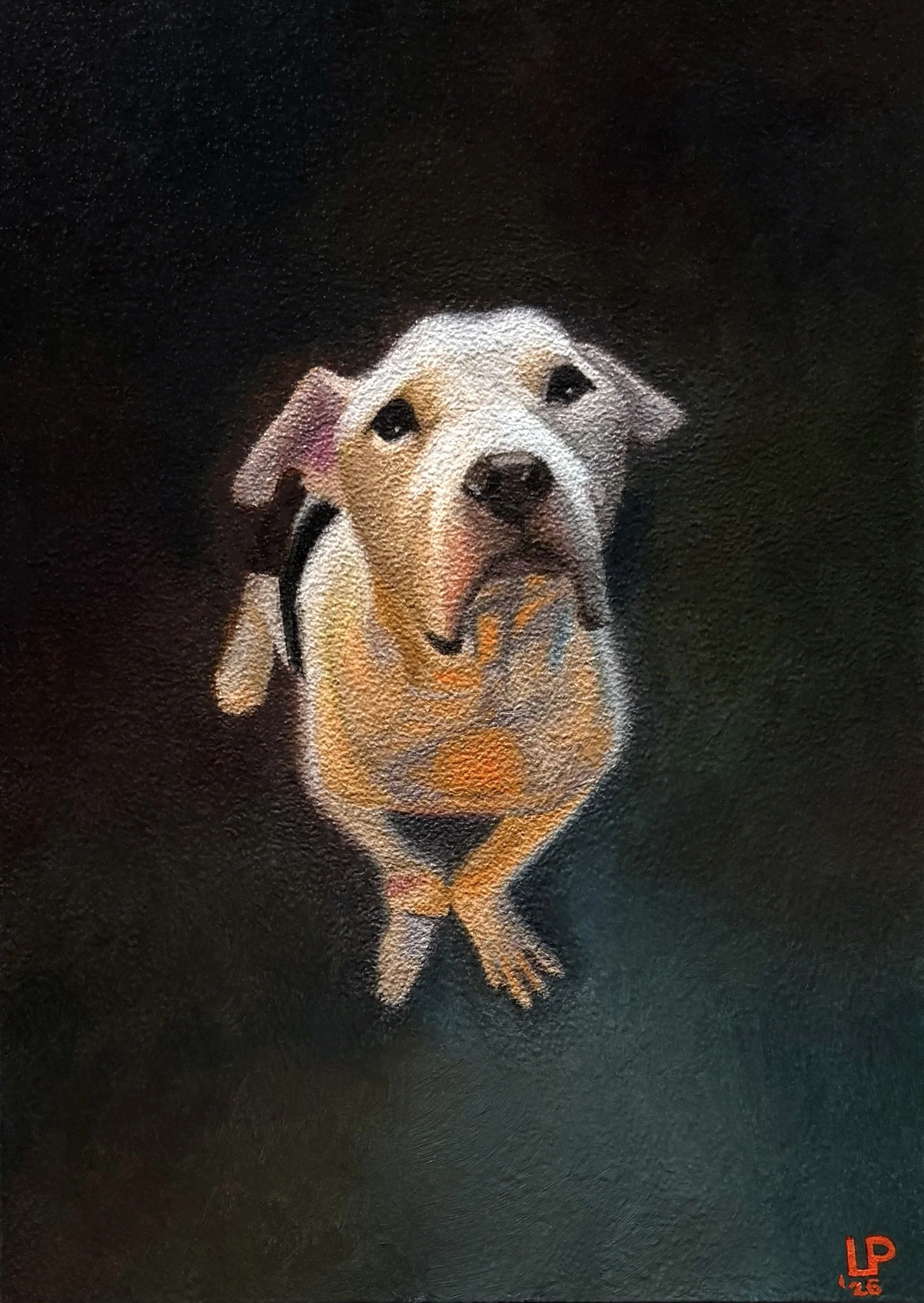 Painting of a small dog with floppy ears, sitting on the ground, against a dark background. The artist's initials and date are in the bottom right corner.