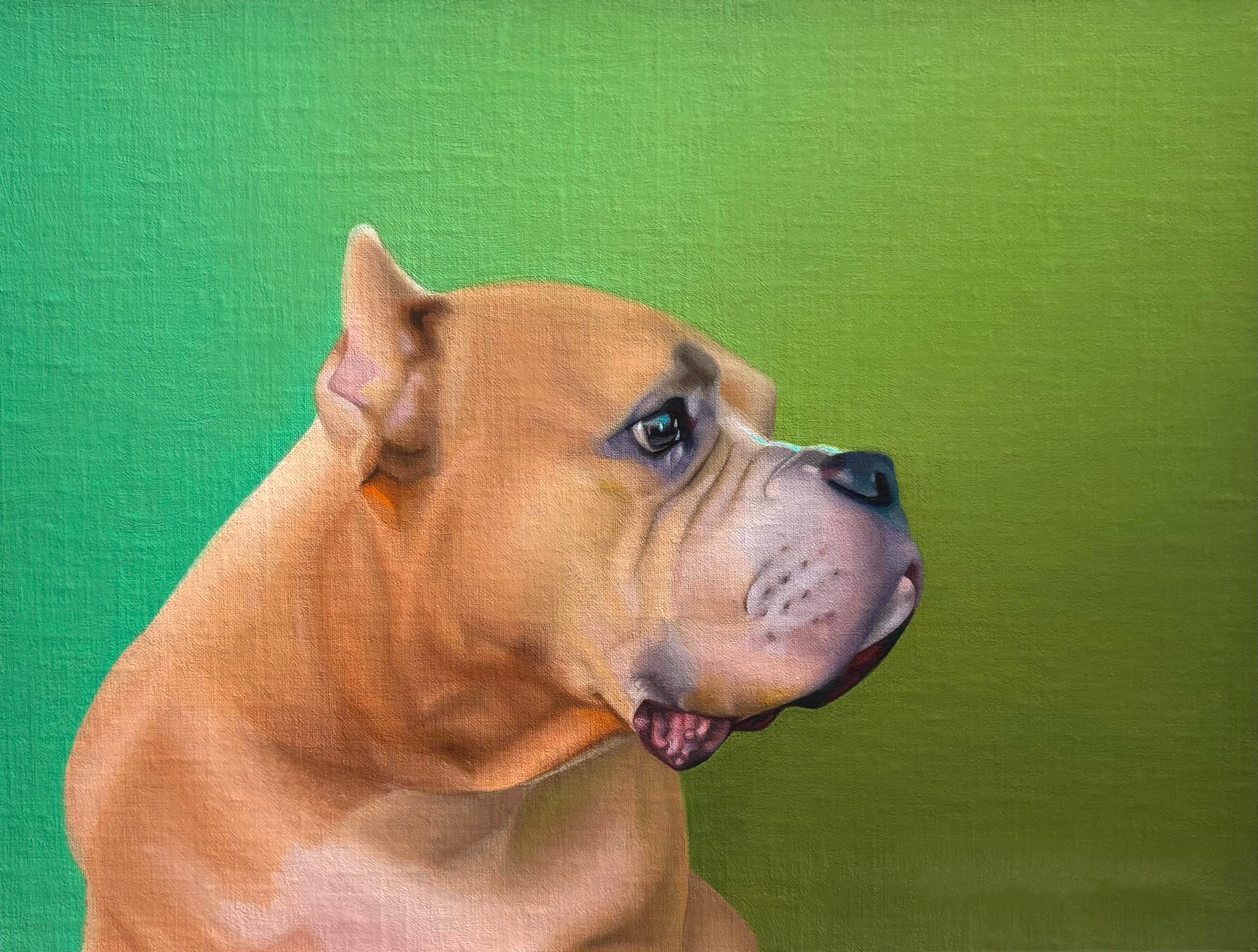 Classical style oil painting of a pit bull against a green background.
