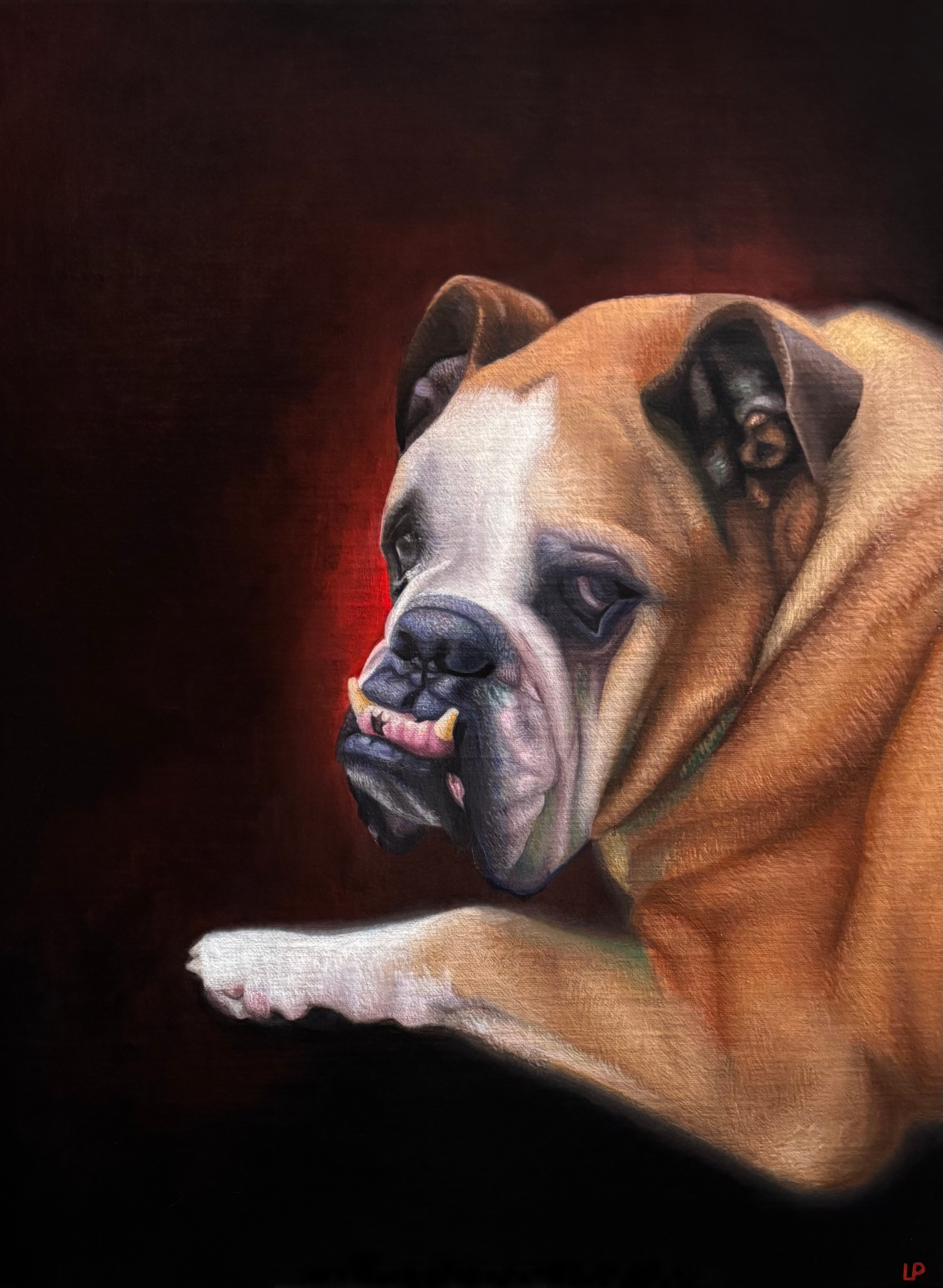 A Baroque style classical oil painting of a bulldog, lying on a dark surface.