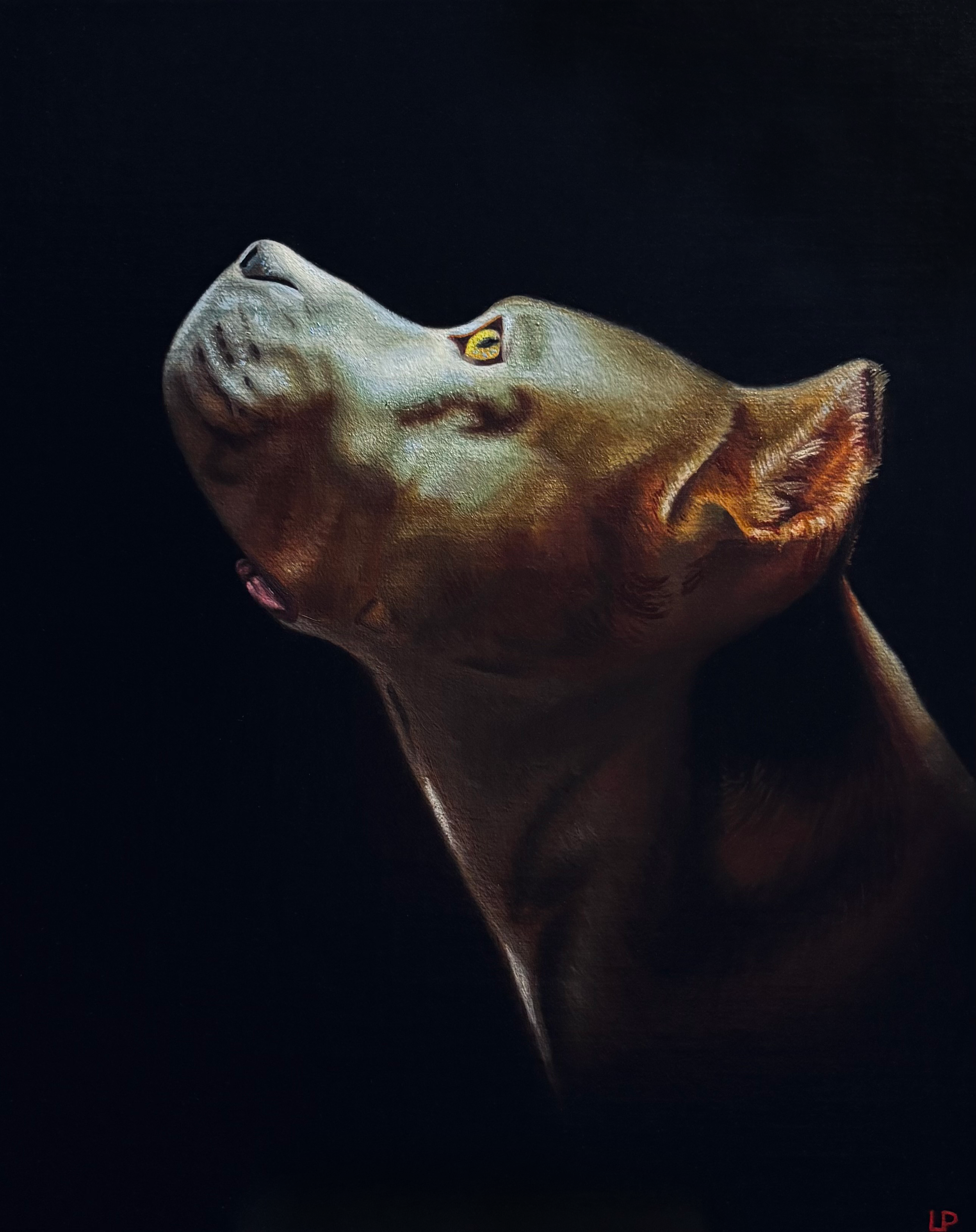 Baroque style fine artwork of a pit bull.