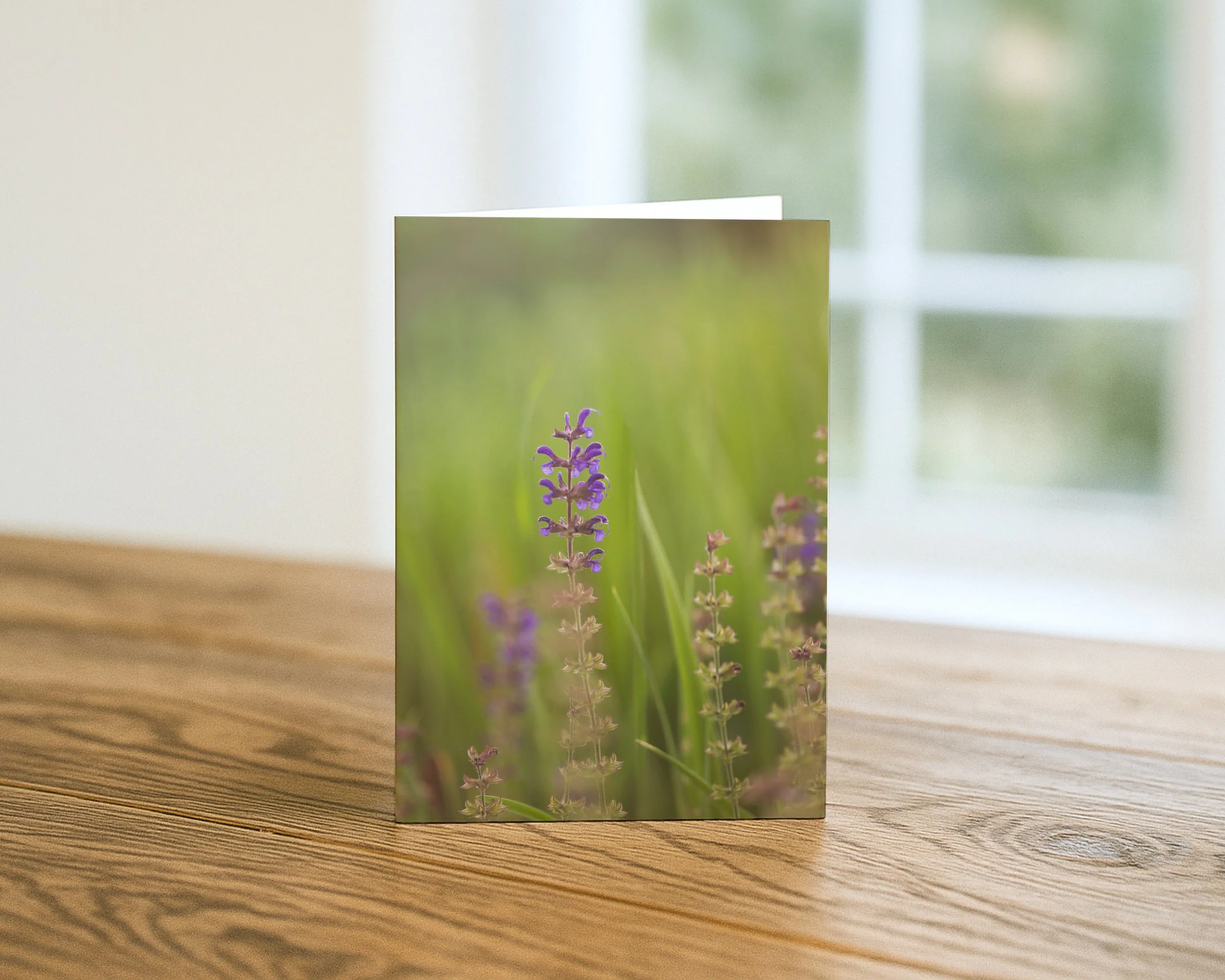 Wildflower Field Card Sets