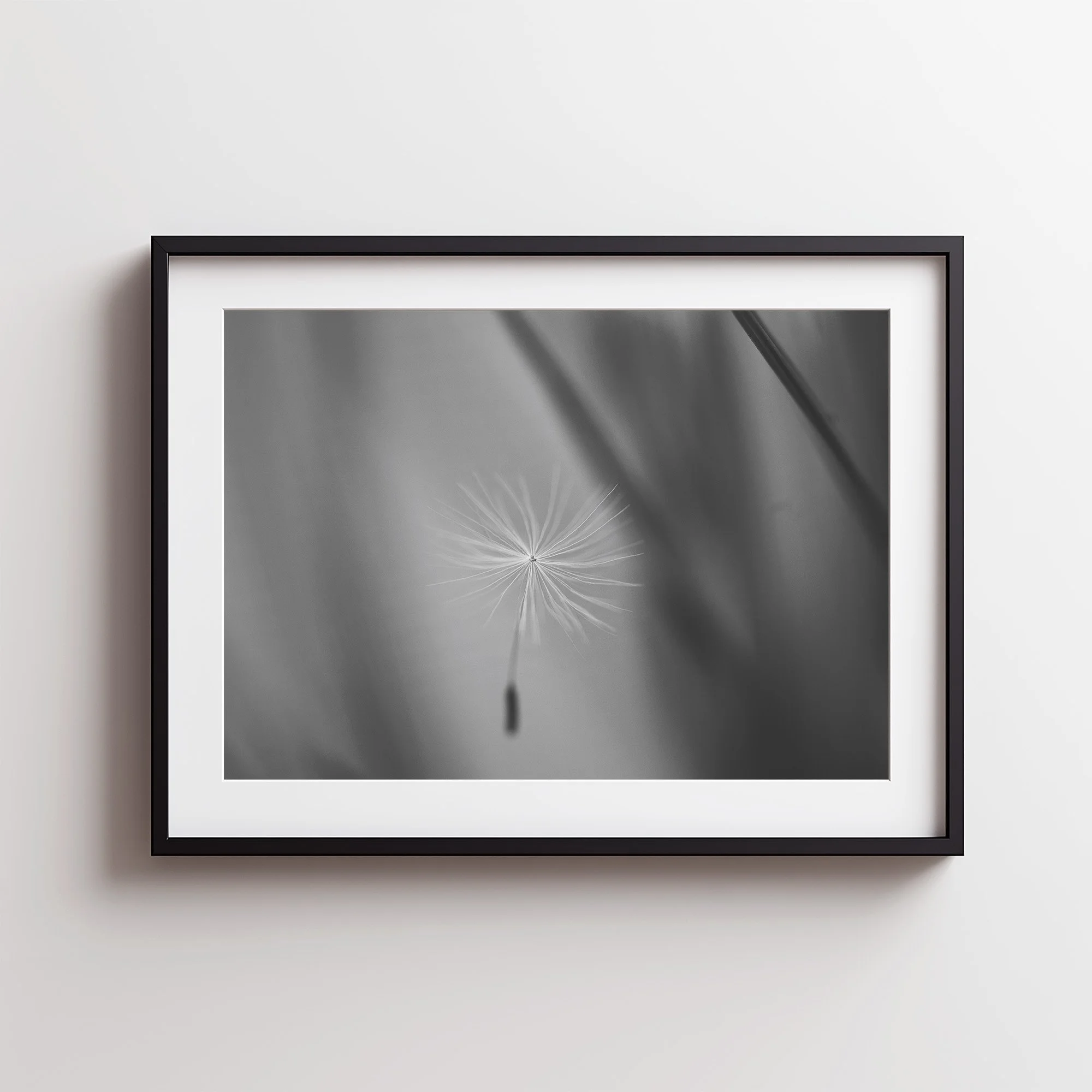 Dandelion Seed #2.jpg