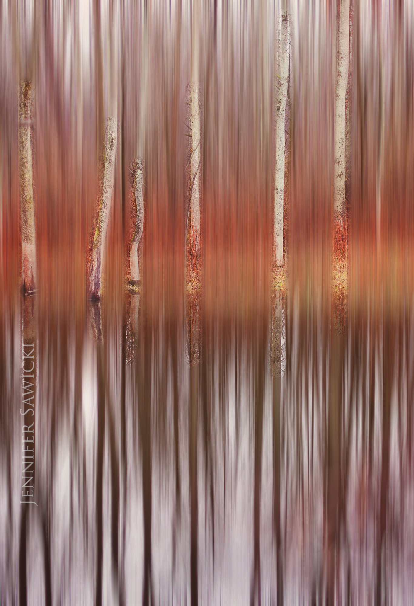 Birch Blur Reflection