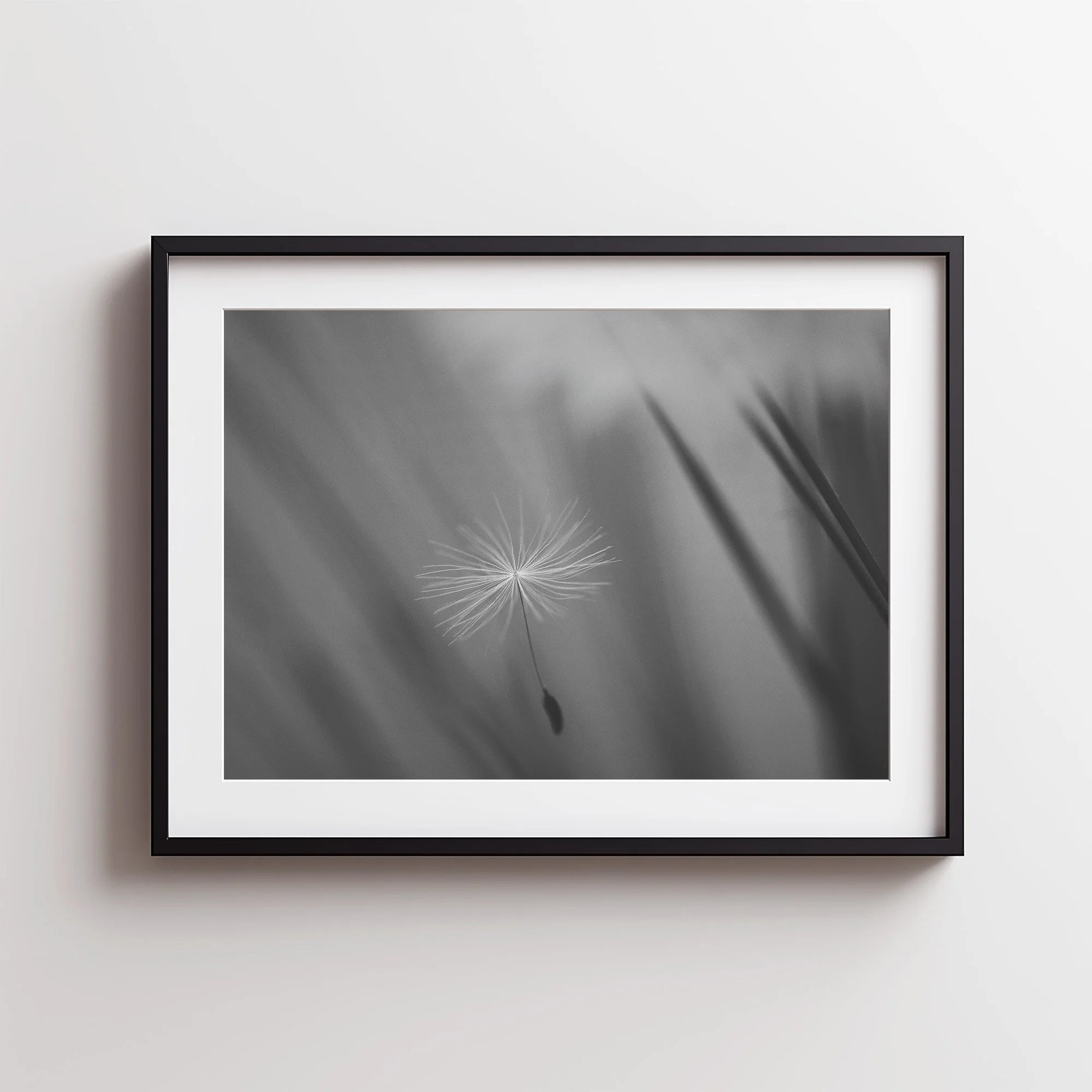 Dandelion Seed.jpg