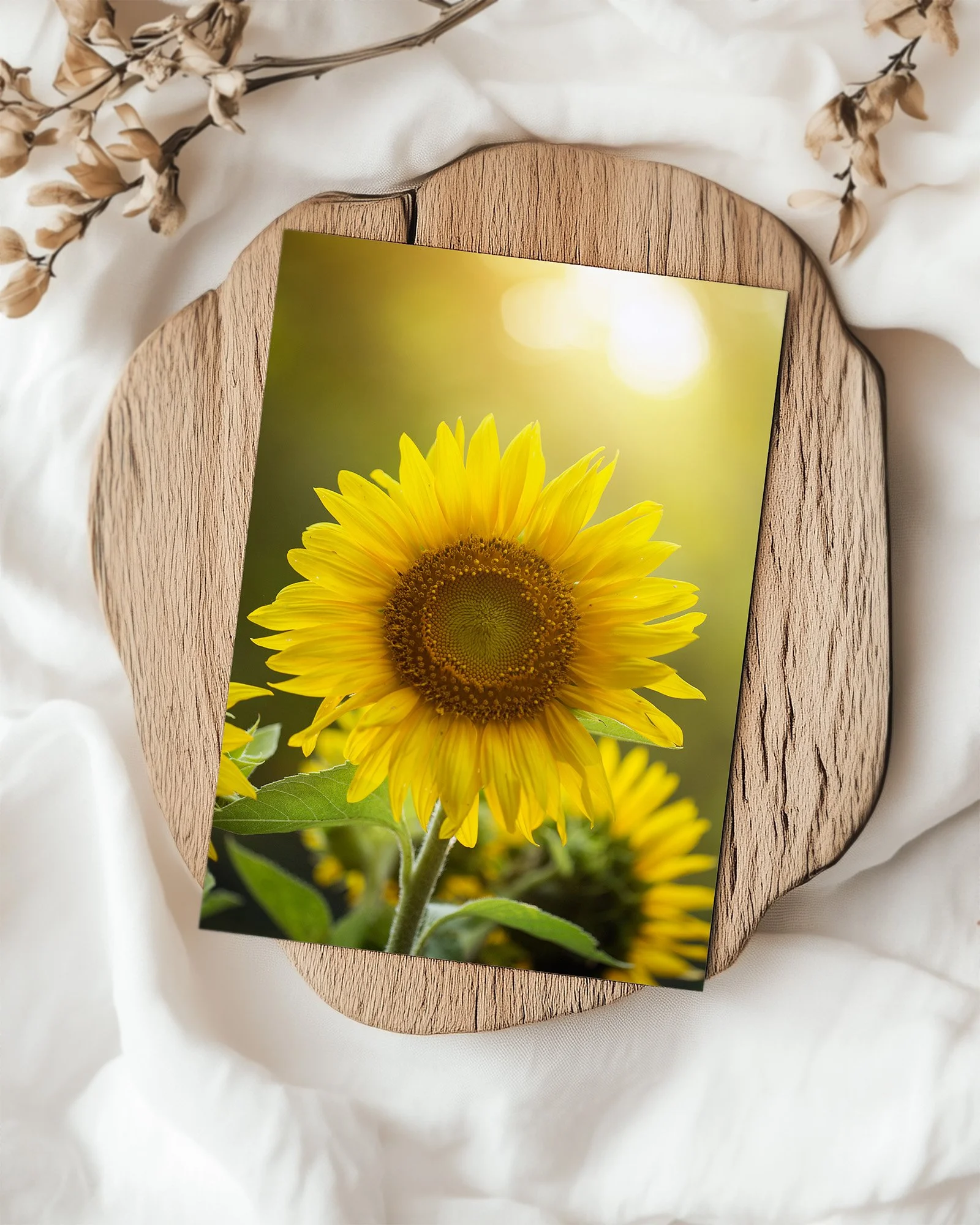Sunflower Card Sets