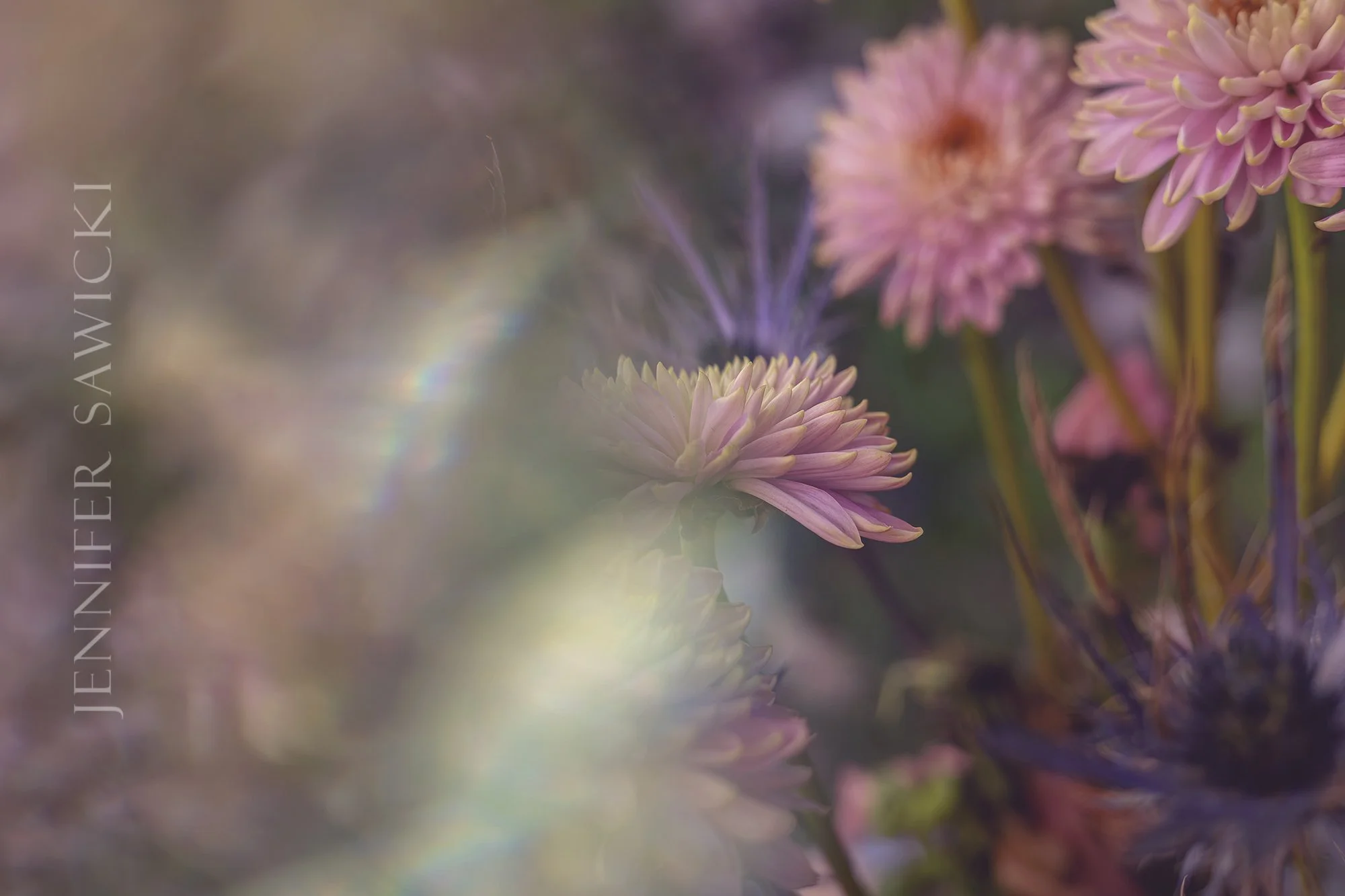 Prism Flowers