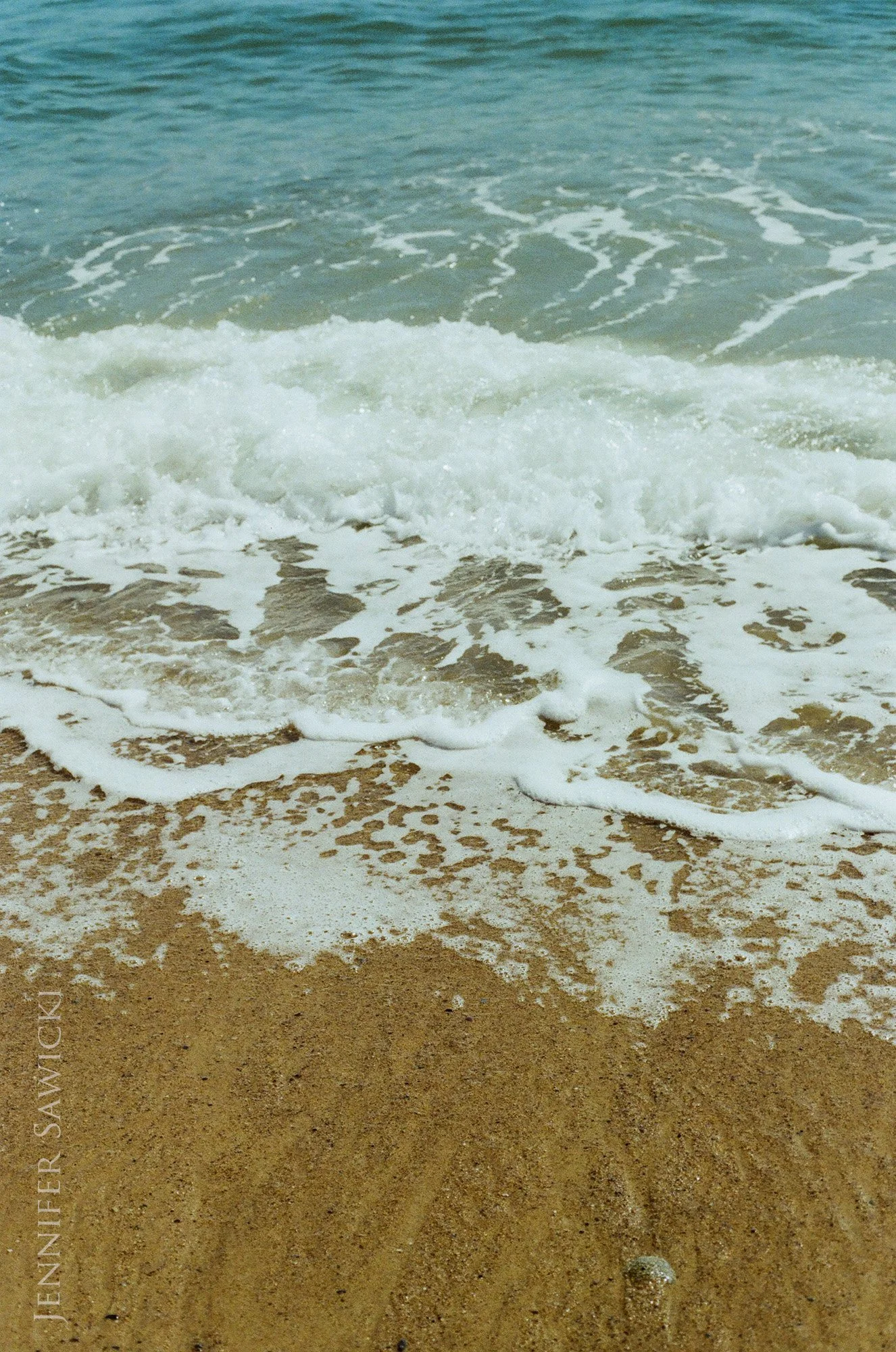 Cape Cod National Seashore (35mm Film)