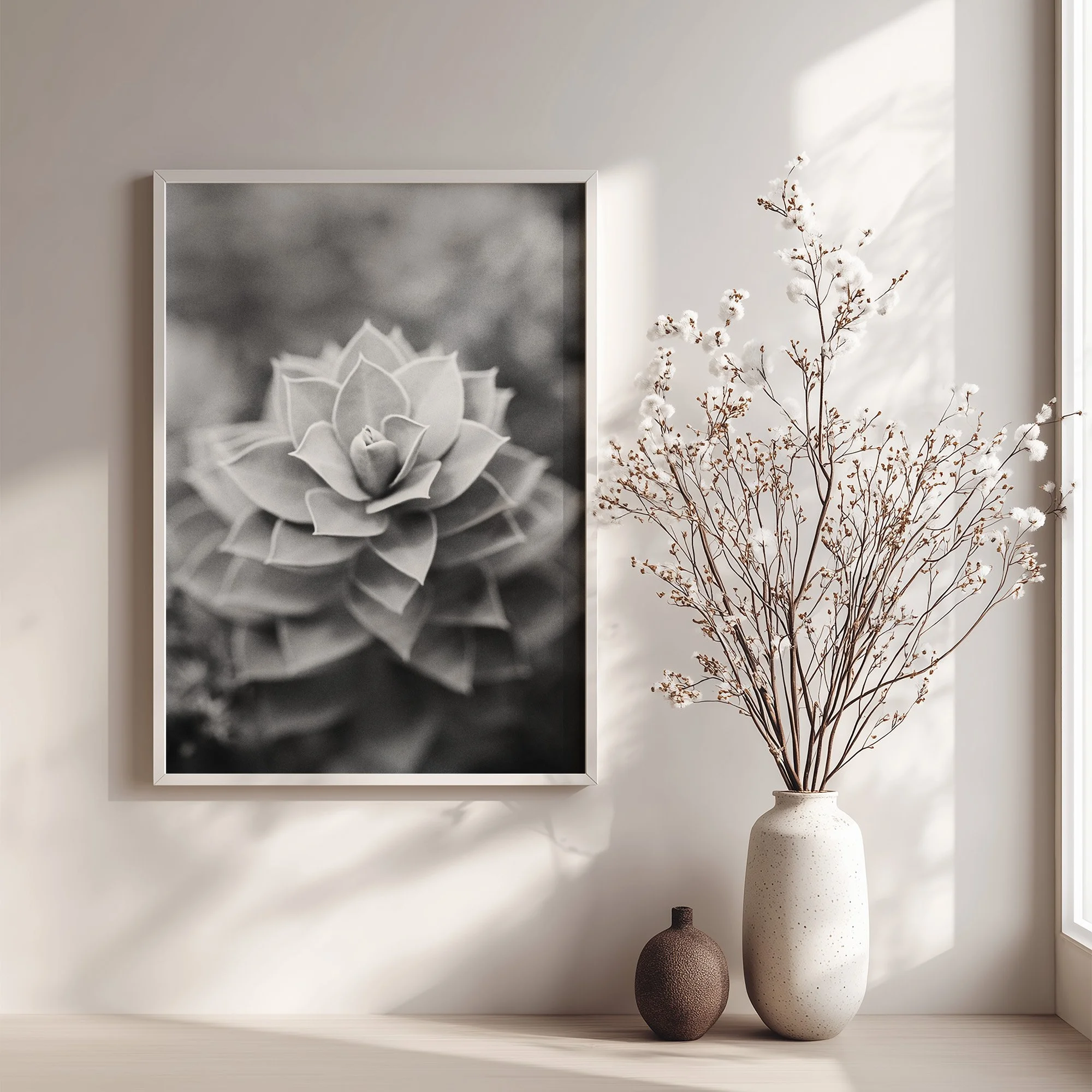 BW Succulent.jpg