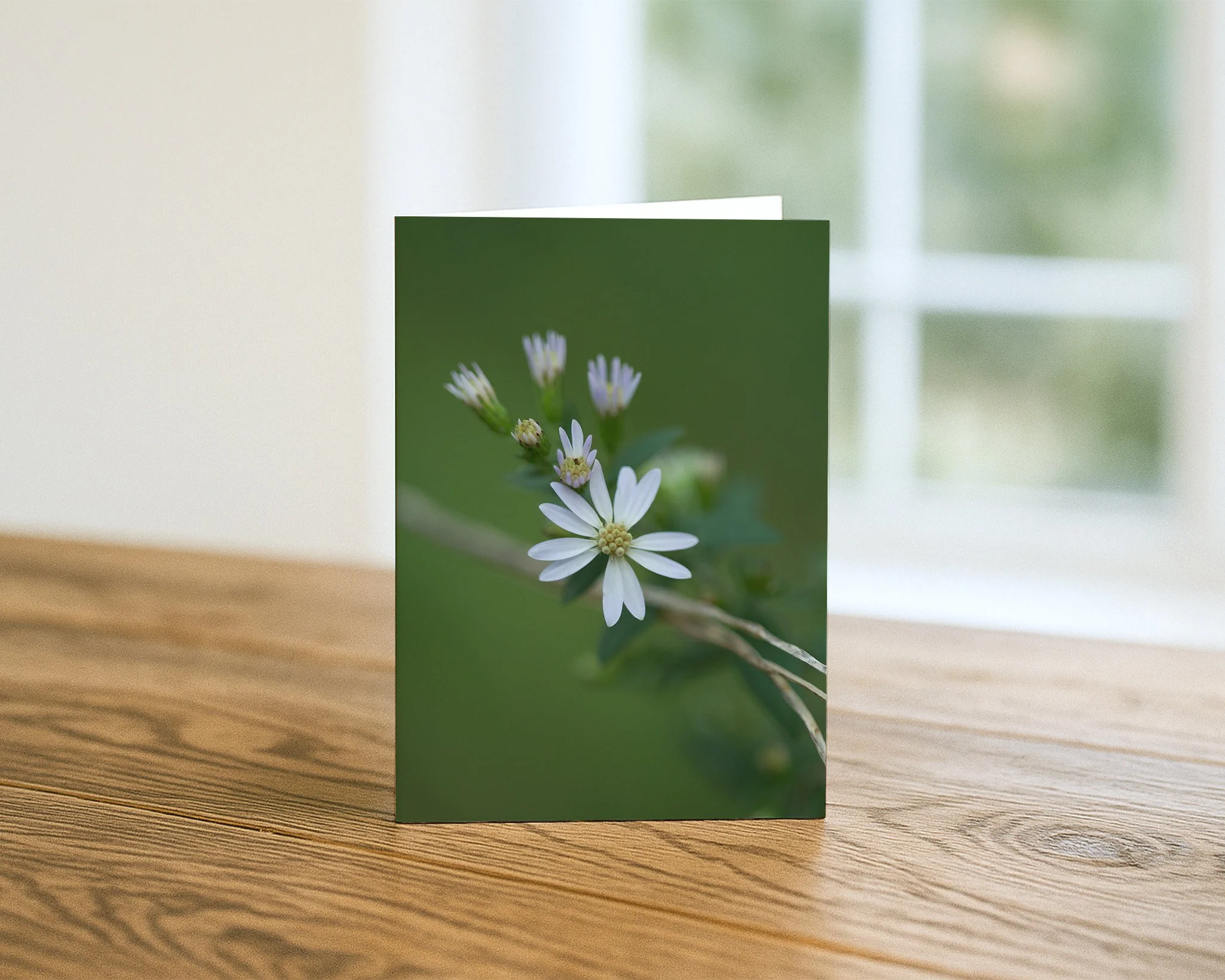 Floral Aster Card Sets
