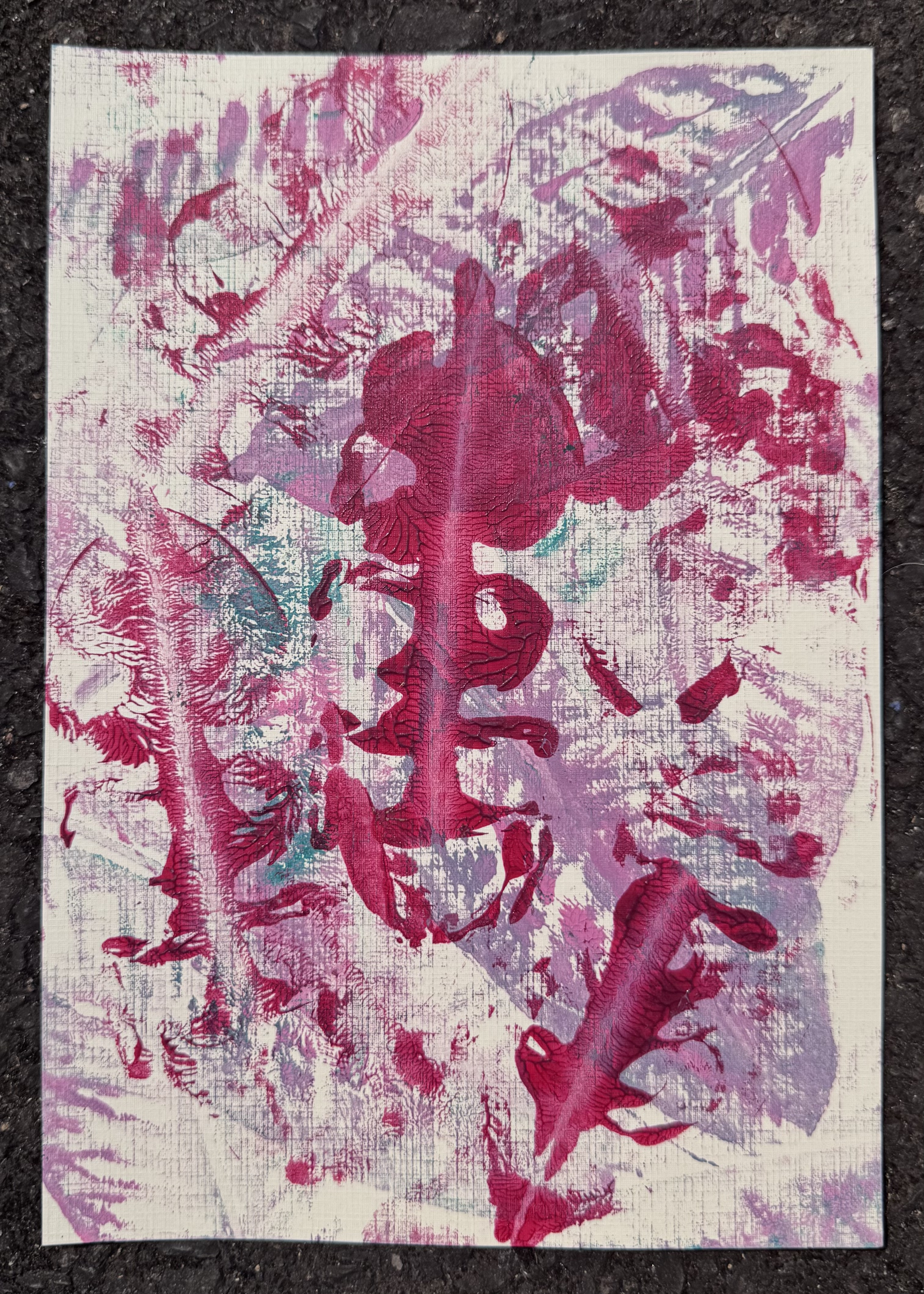 IMG_8759.png