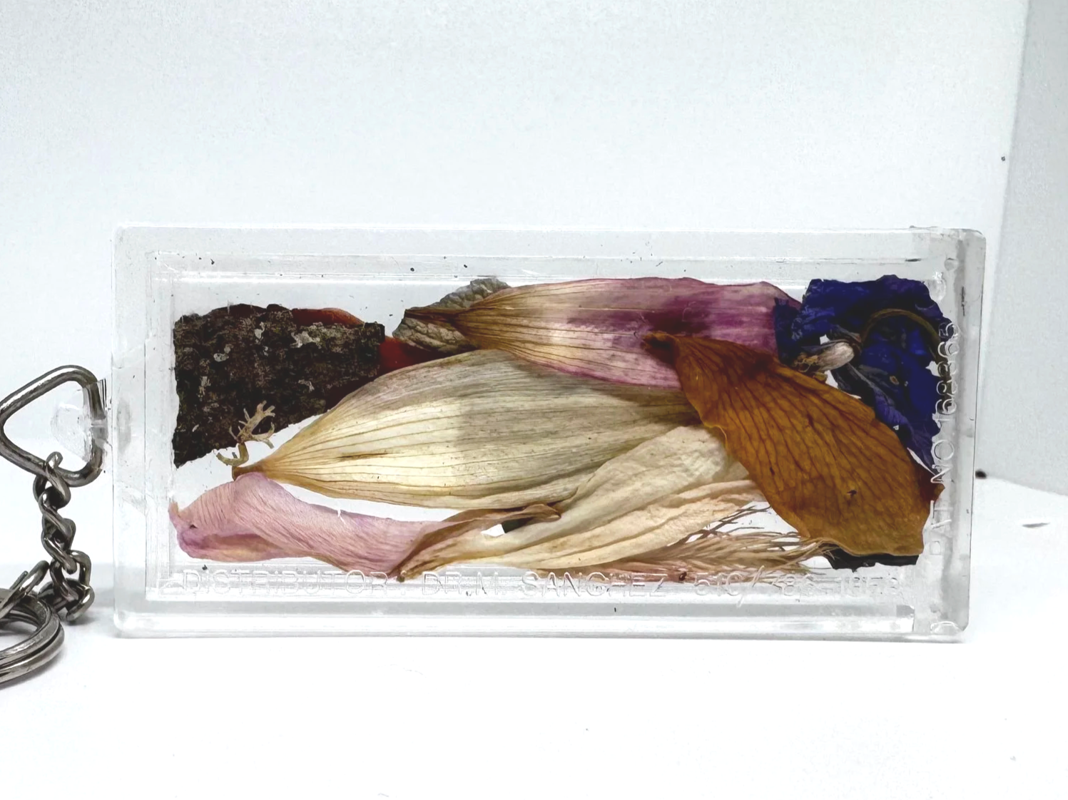 IMG_8575.png