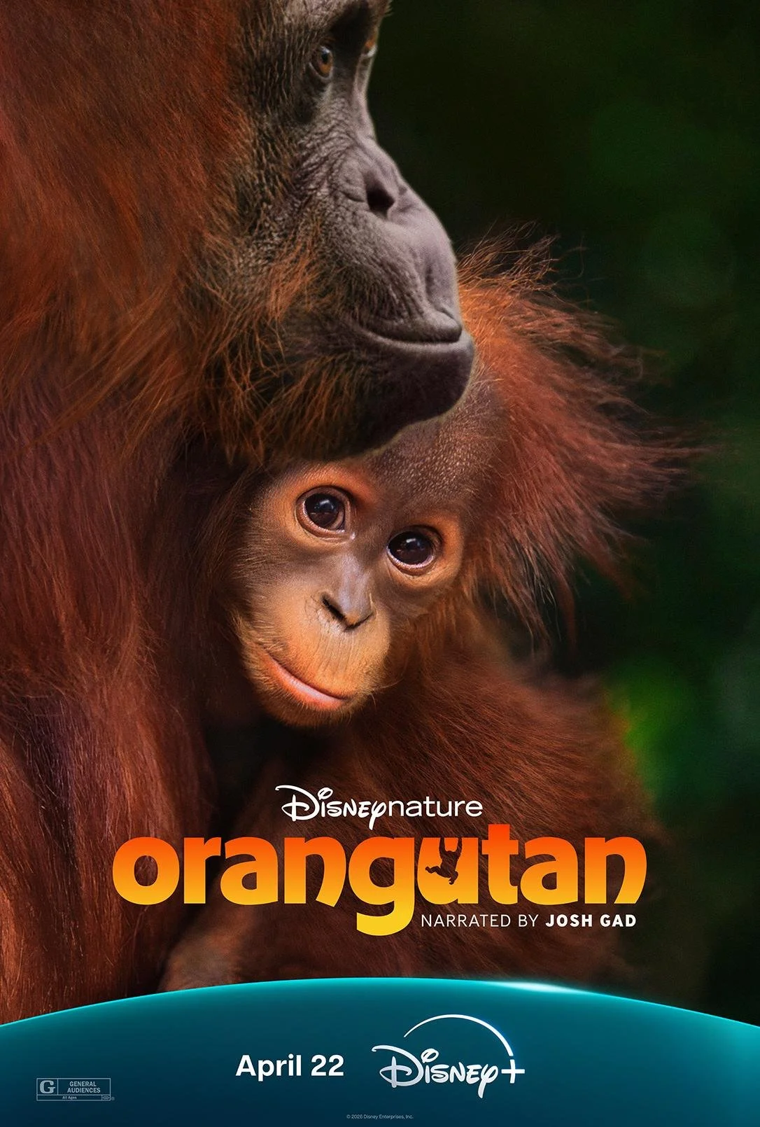 orangutan.jpg