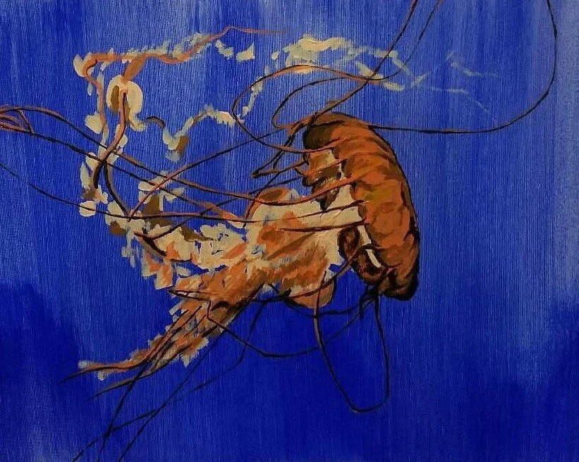 jellyfish.jpg