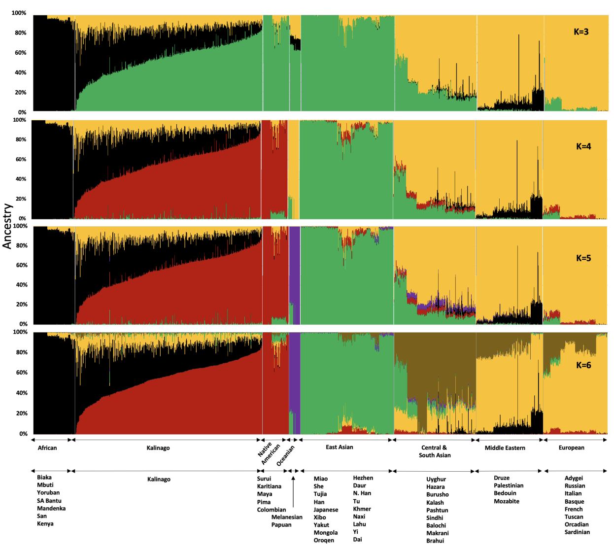 Kalinago Genetic Ancestry