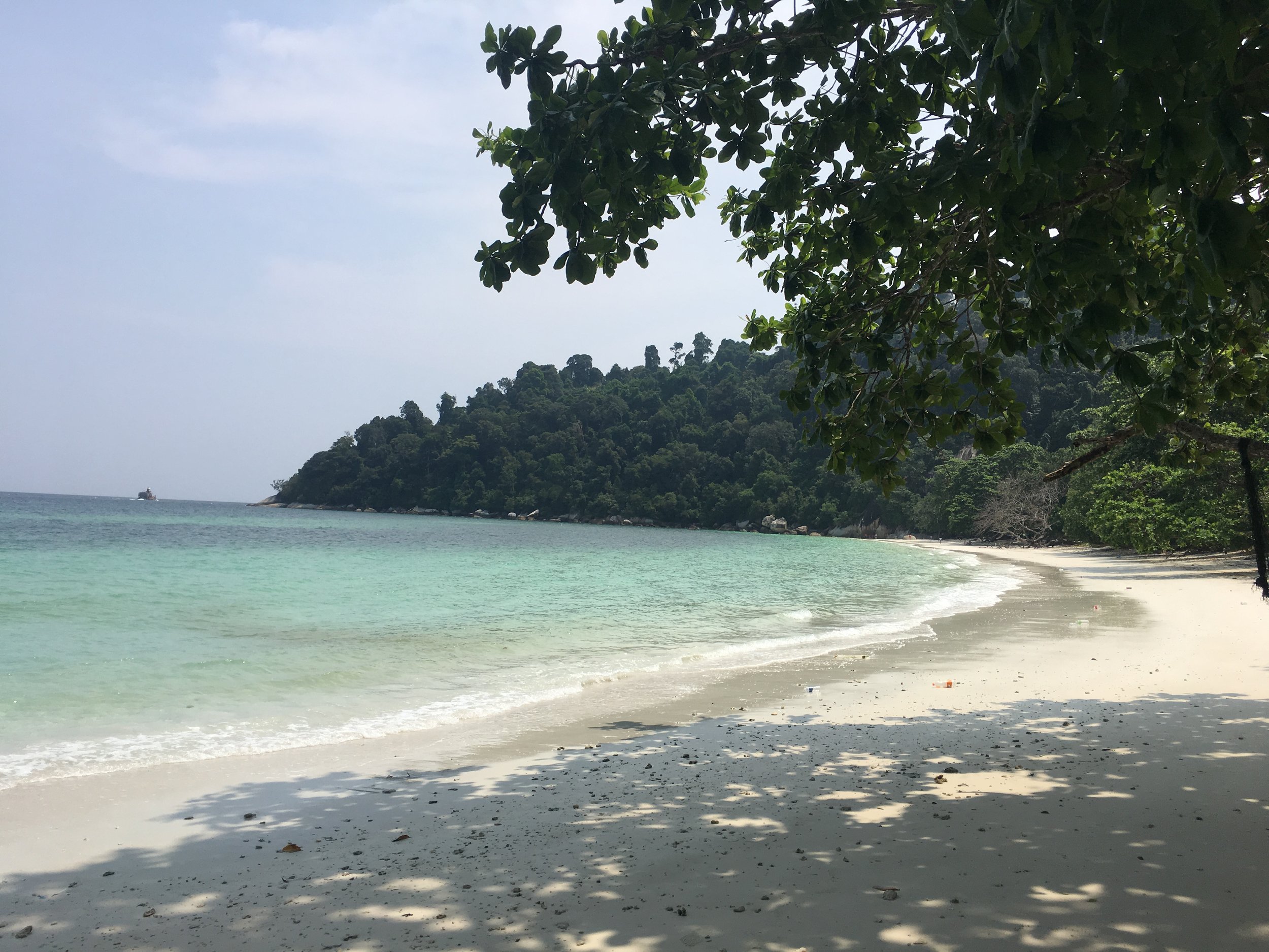 IMG_4504.jpeg