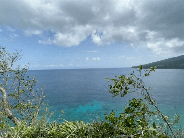 IMG_4630.gif