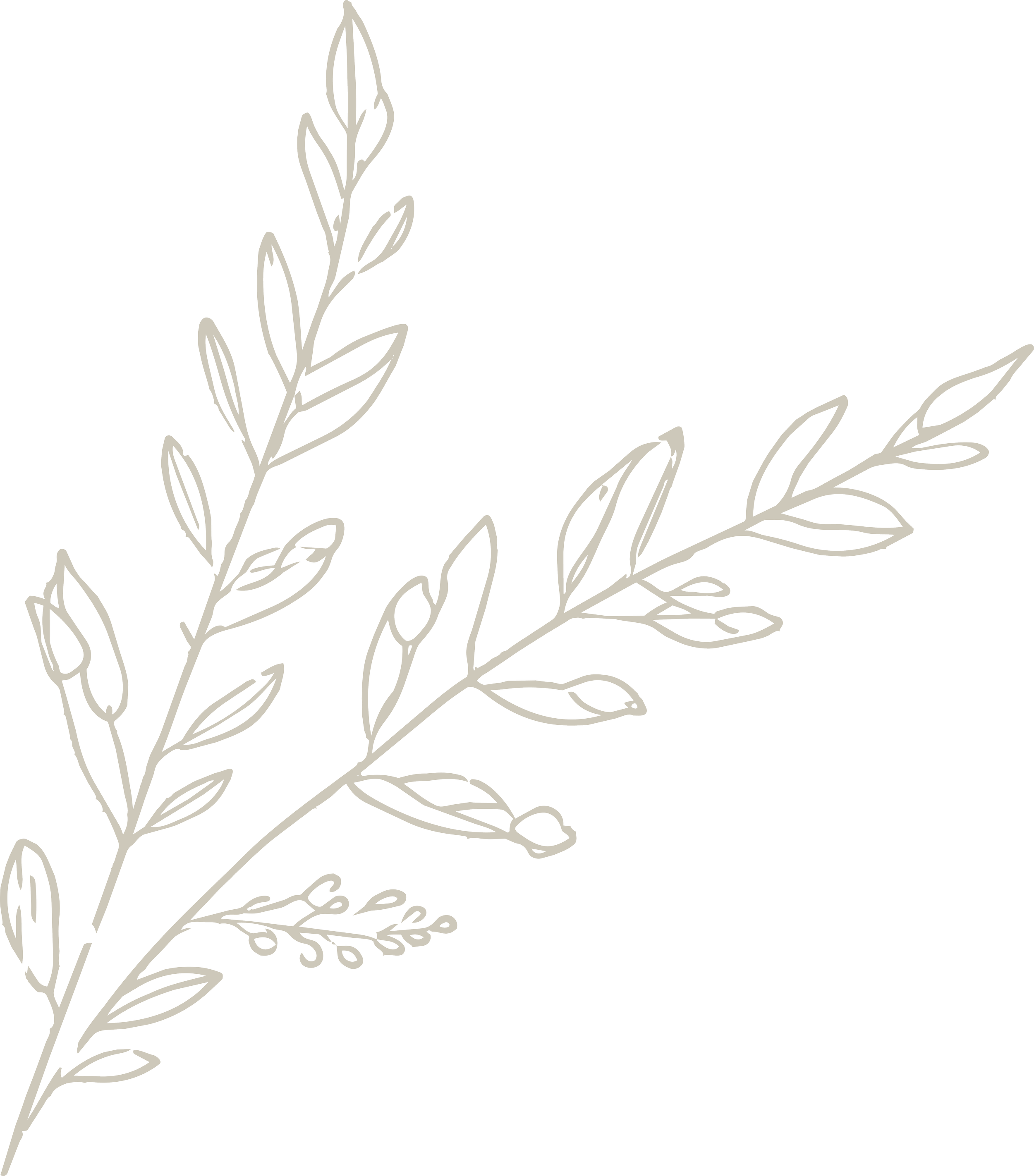 golden oak studio floral illustration as part of branding kit