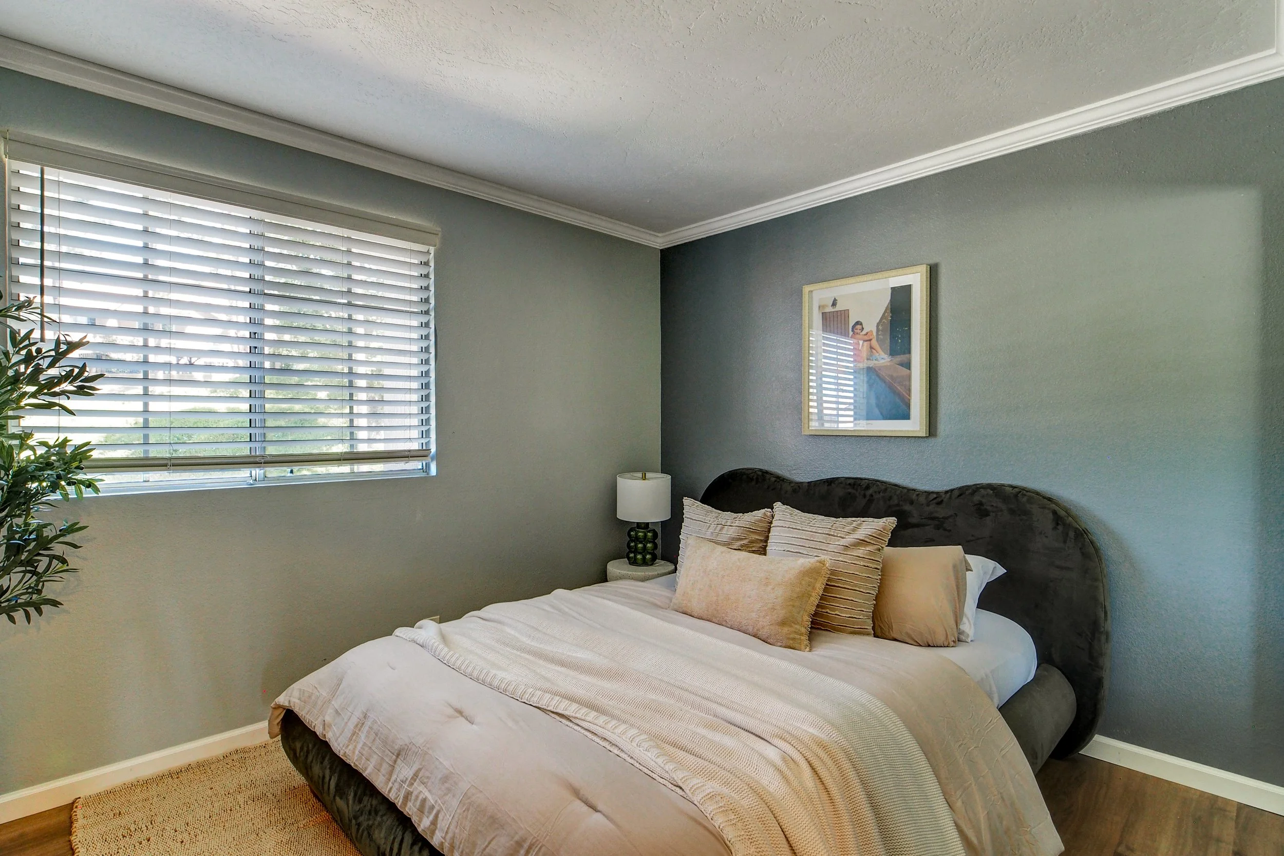 23-2304 Cll Trella-23.jpg