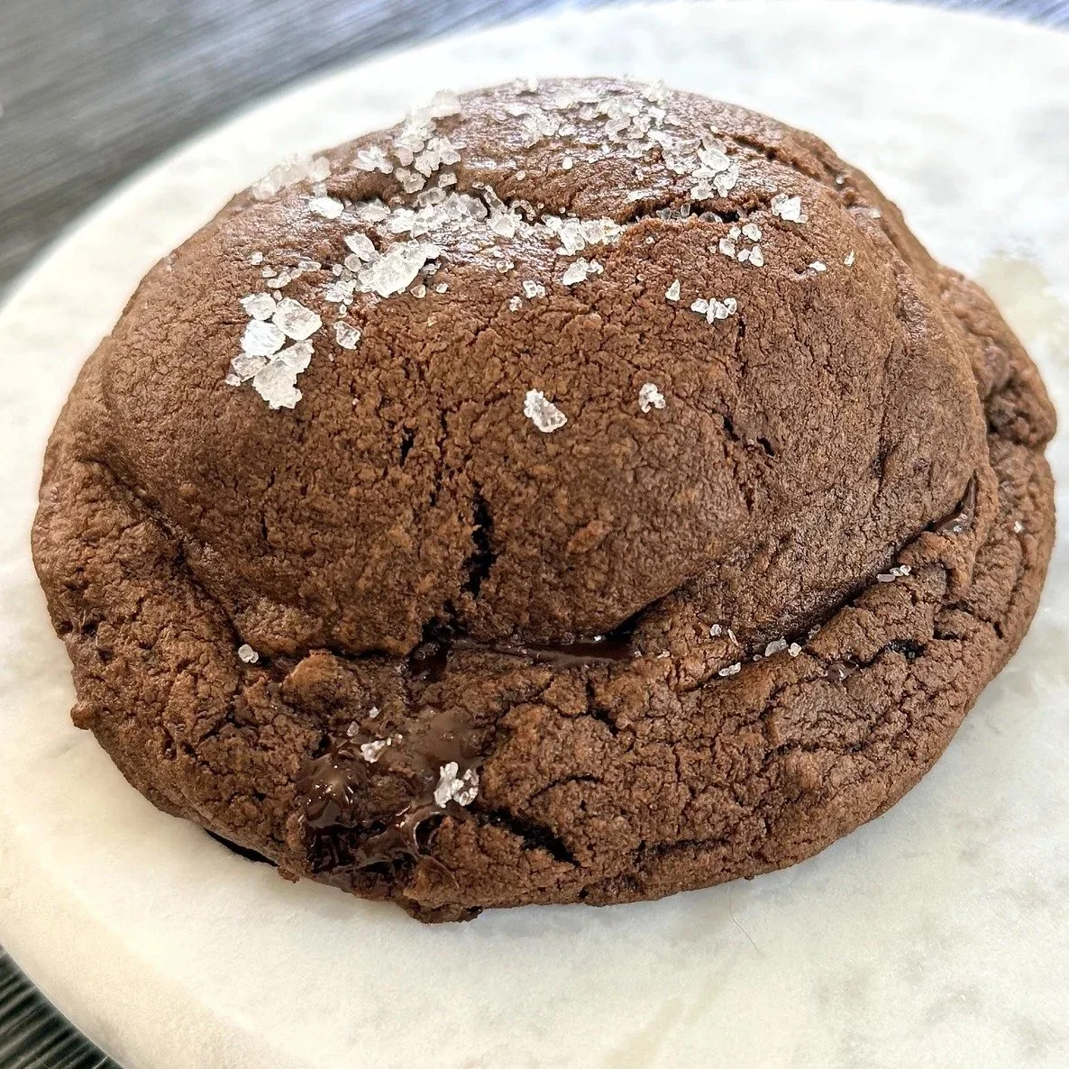 The Circle Cookie Dark Chocolate 1.jpg