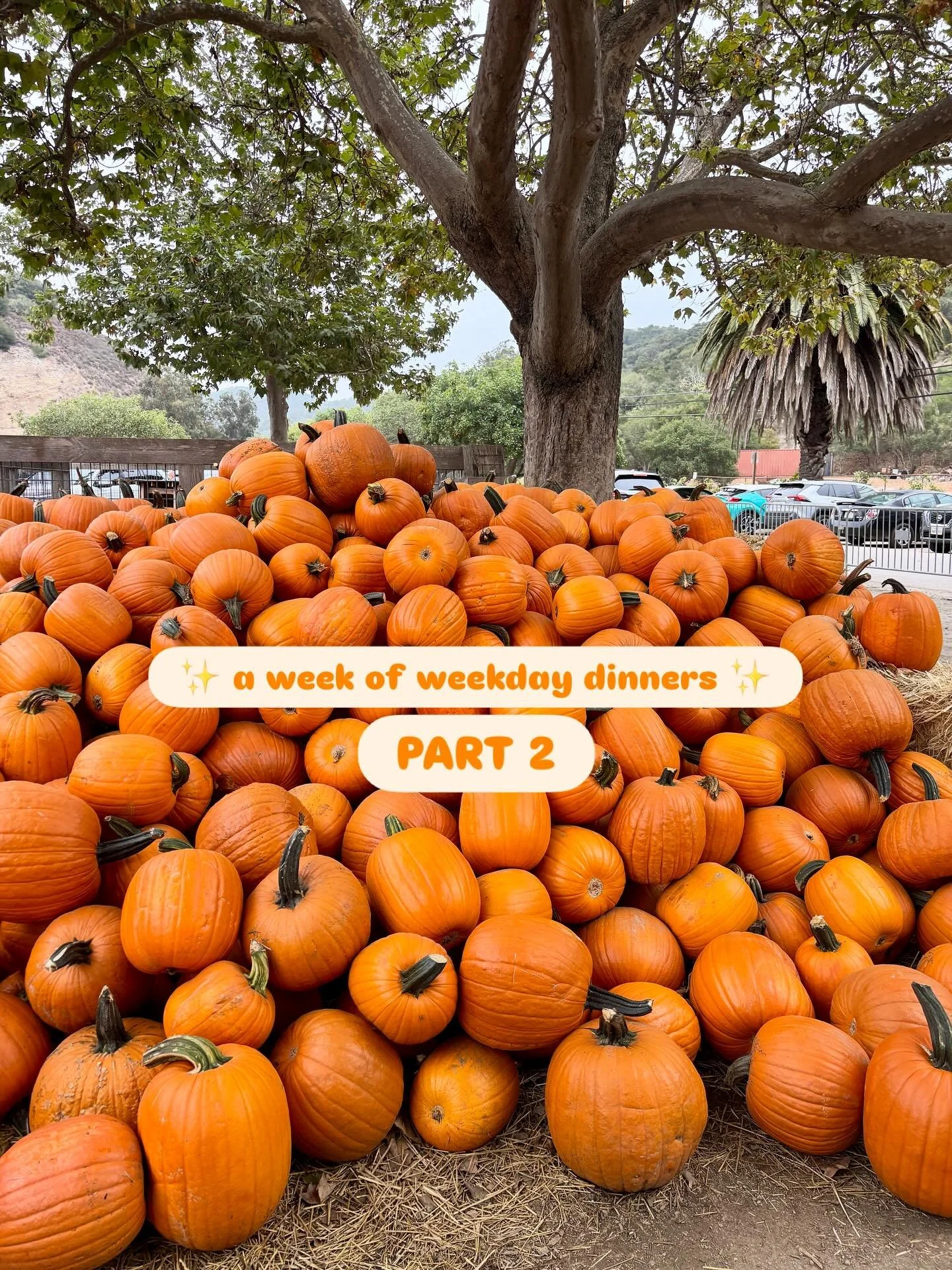 Last full week of September dinner recap! Bring on the fall recipes 🍁