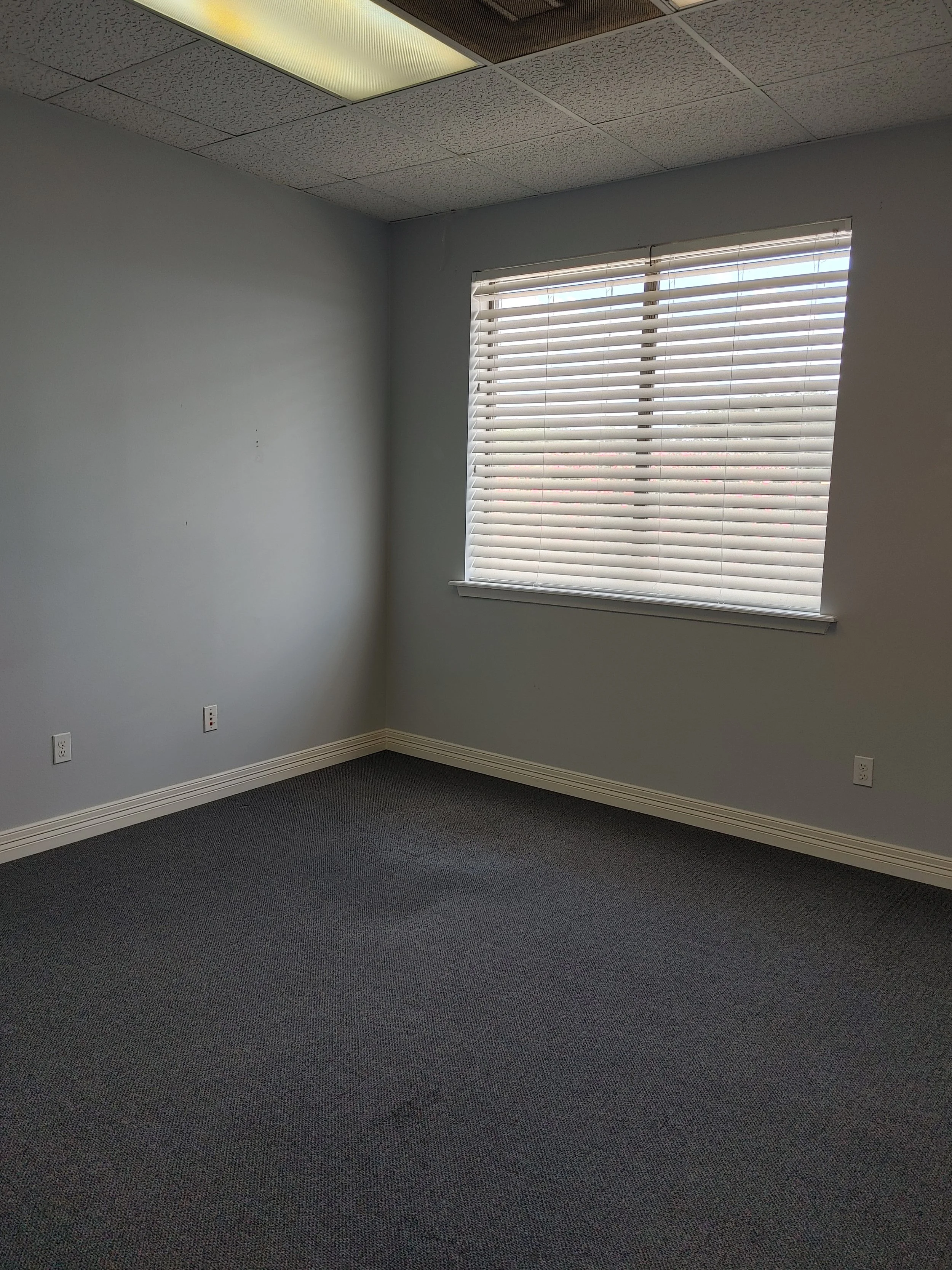 An empty room with gray walls, a window with blinds, dark gray carpet, and a ceiling with fluorescent lights.