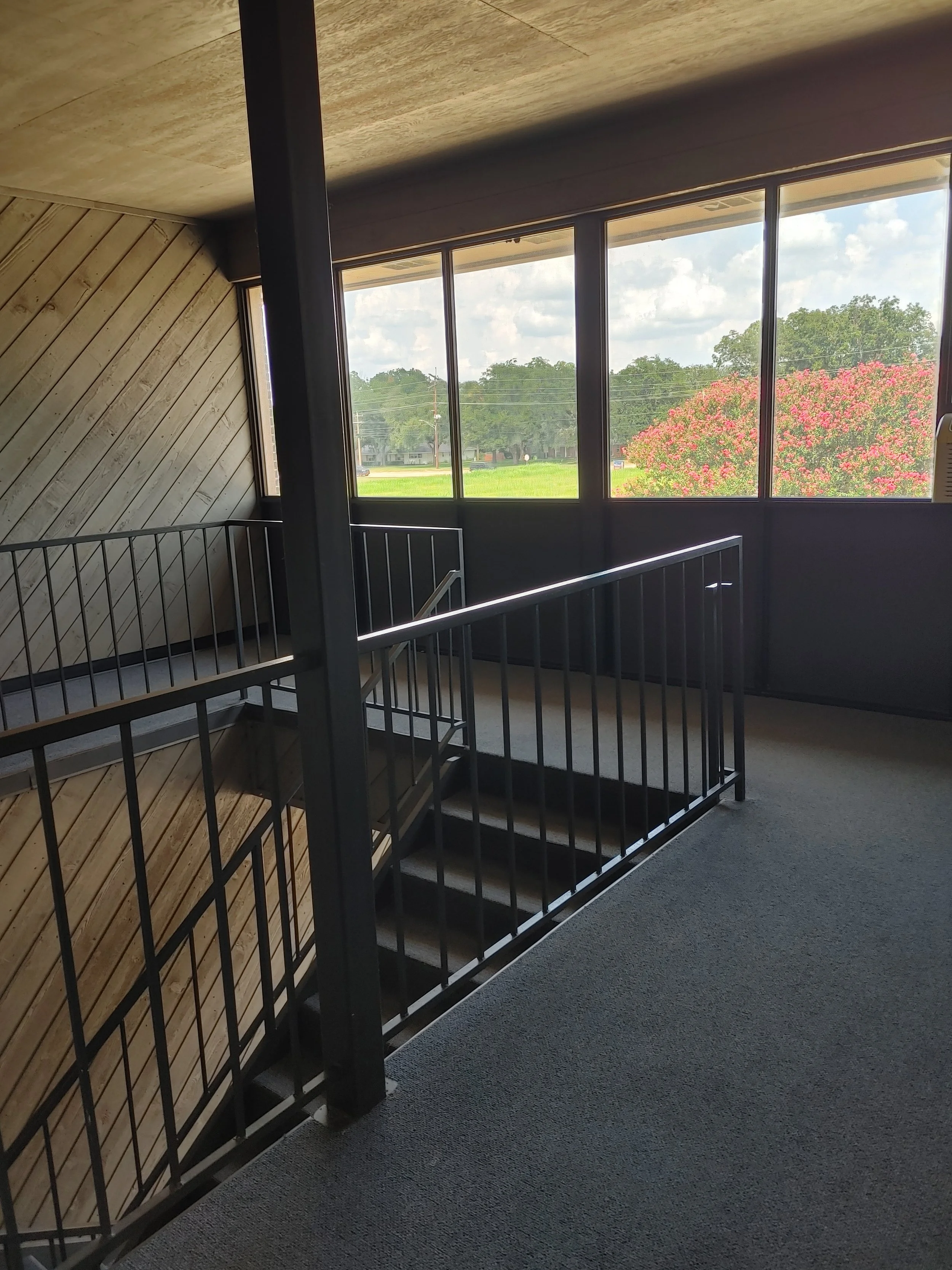 Interior view of a staircase with a black metal railing, wooden wall paneling, large windows revealing a green landscape with trees and pink flowering bush, and a gray carpeted floor.