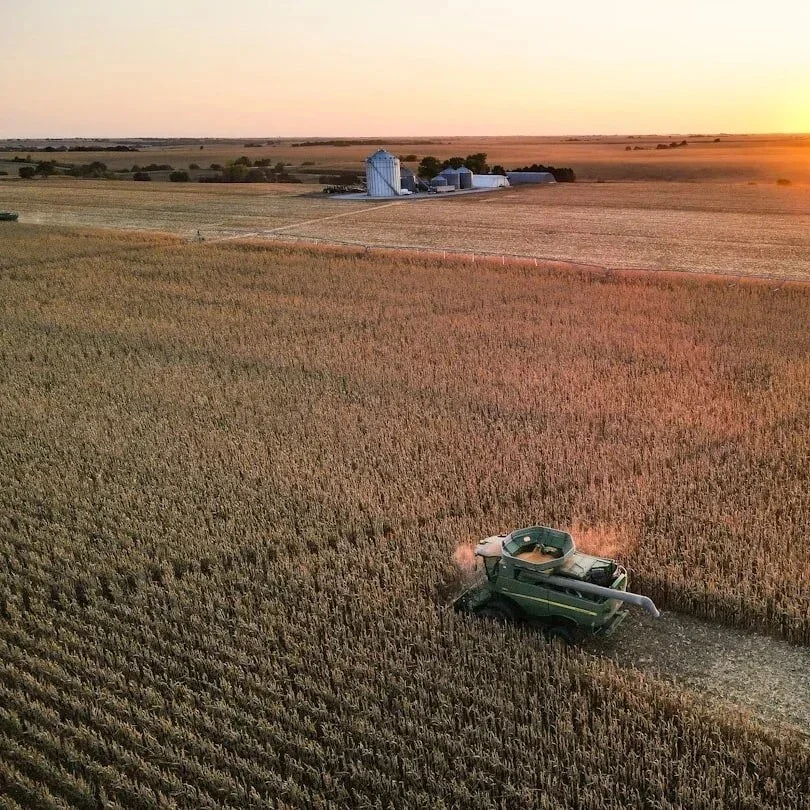 A combine harvester working in a wheat field at sunset with a farm and silos in the background.