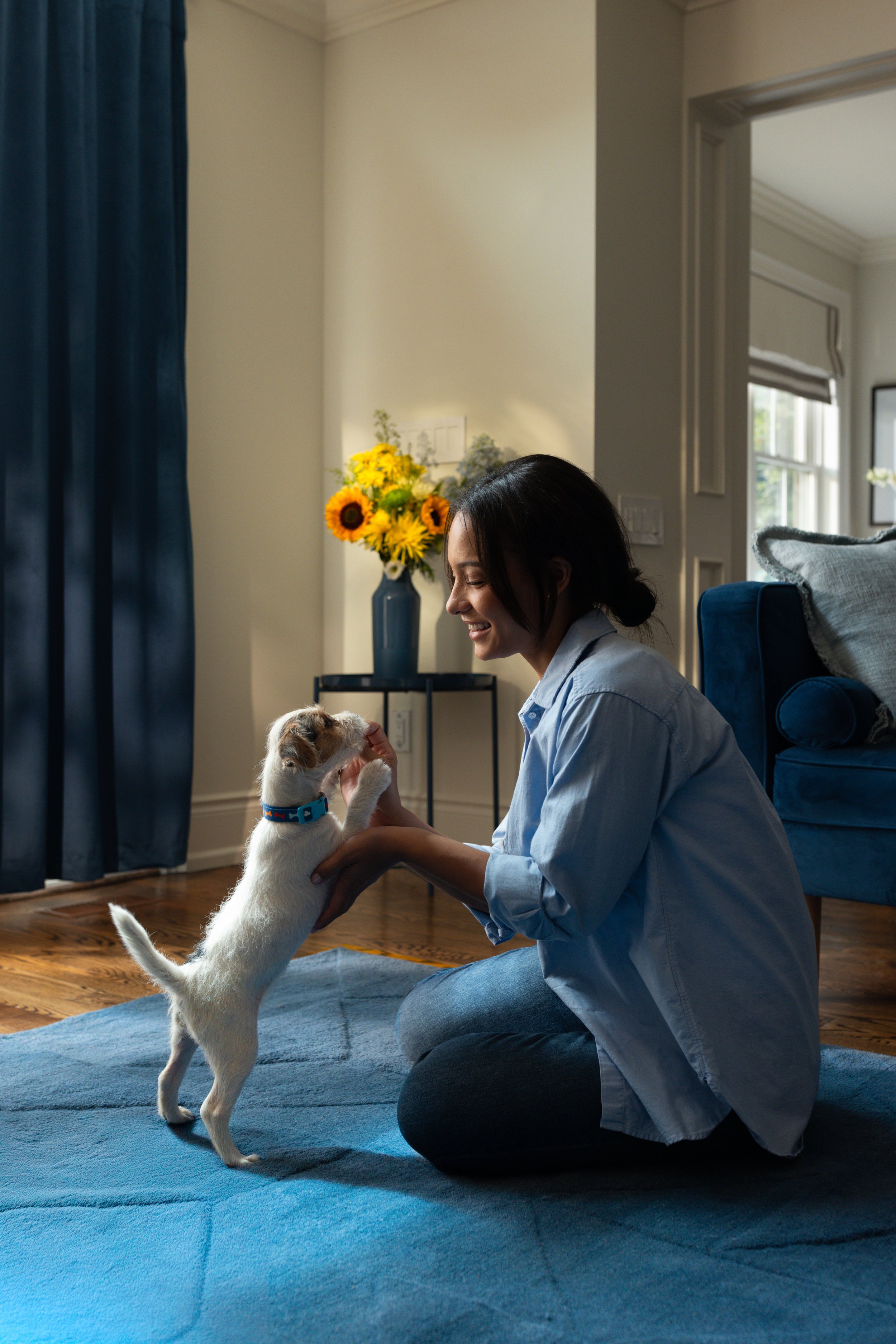 A woman kneeling on a blue rug, smiling and playing with a small white puppy that has brown patches, inside a room with light-colored walls, a vase of sunflowers on a black side table, and a blue armchair.
