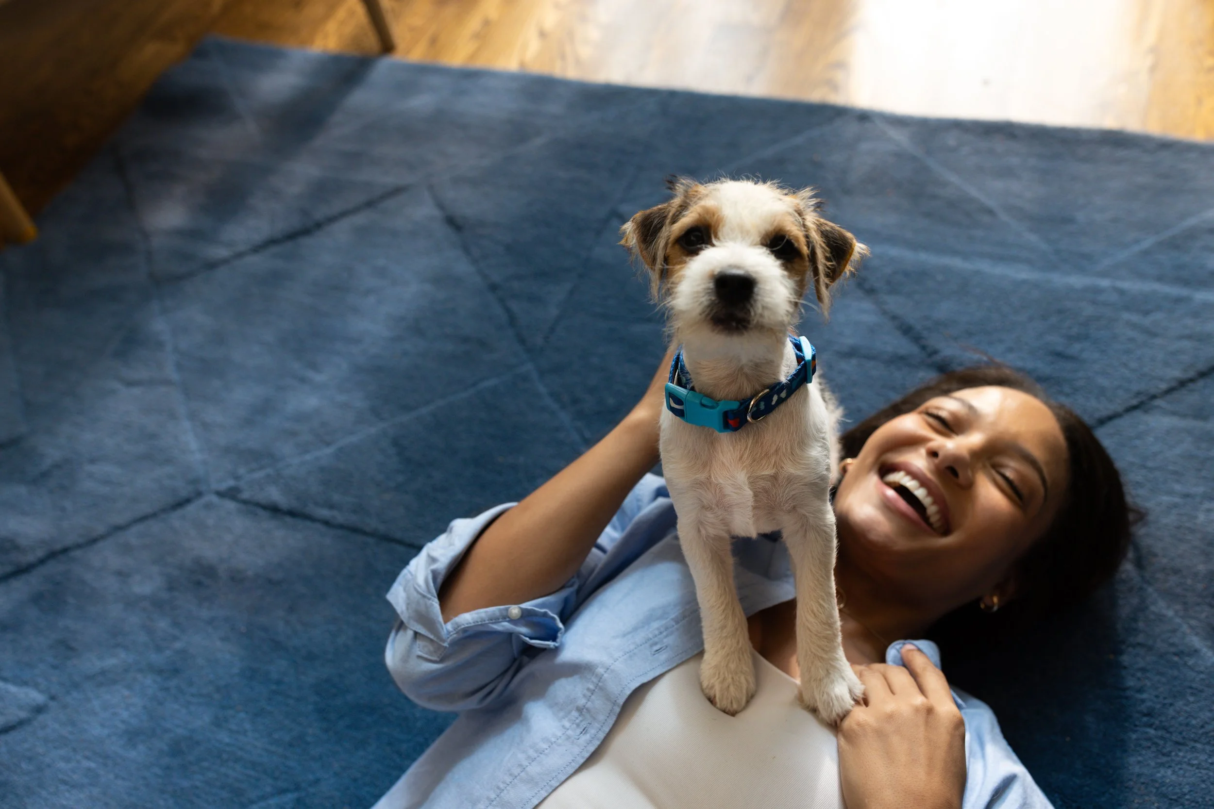 A woman lying on a gray blanket on a wooden floor, smiling, holding a small puppy with a blue collar looking directly at the camera.