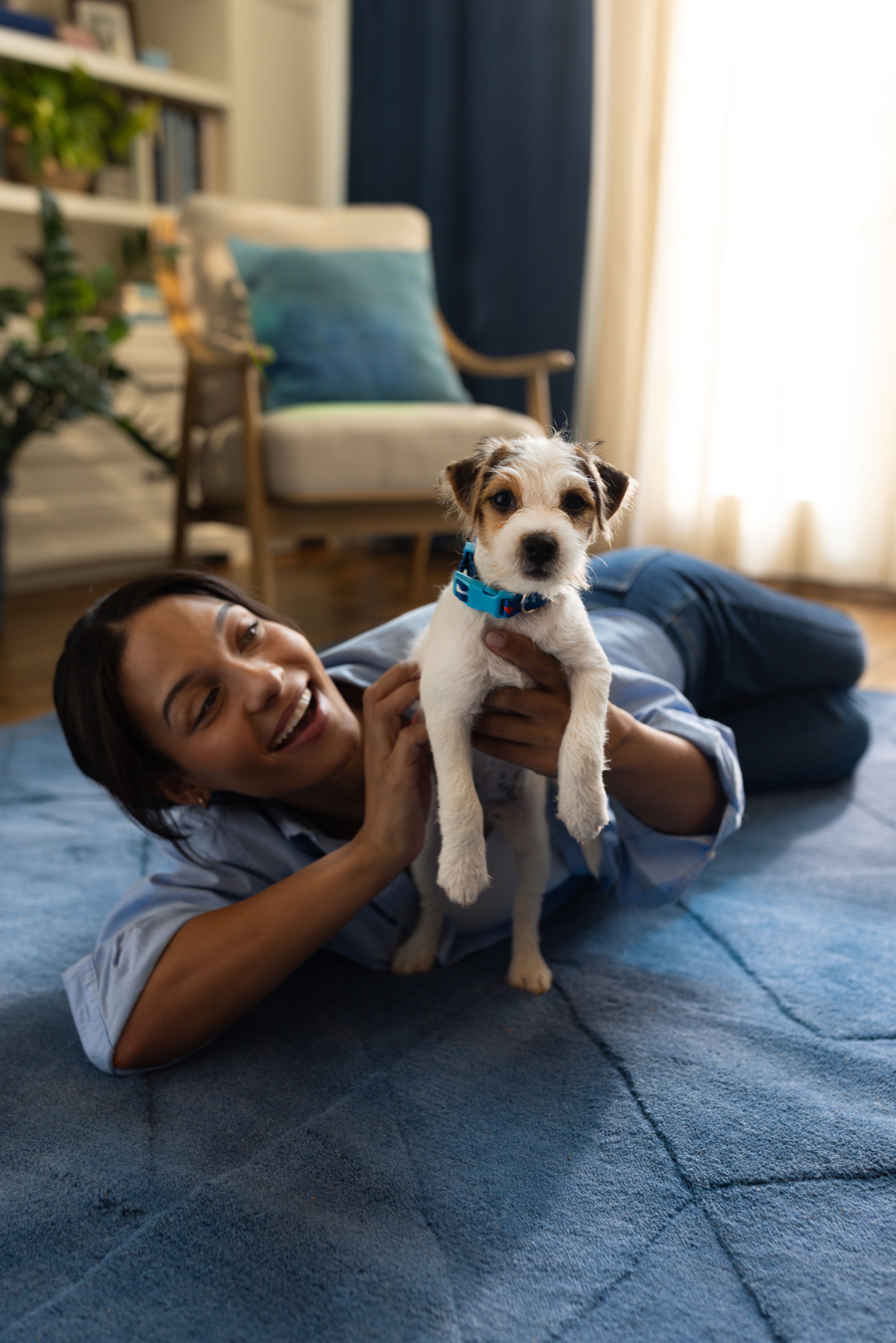 A woman lying on a blue rug, holding a small puppy with white fur and brown spots, in a cozy living room with a armchair, green pillow, bookshelf, and curtains in the background.