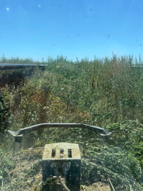 View through a dirty windshield of a tractor or farm equipment facing a field with green crops and trees in the distance, under a clear blue sky.