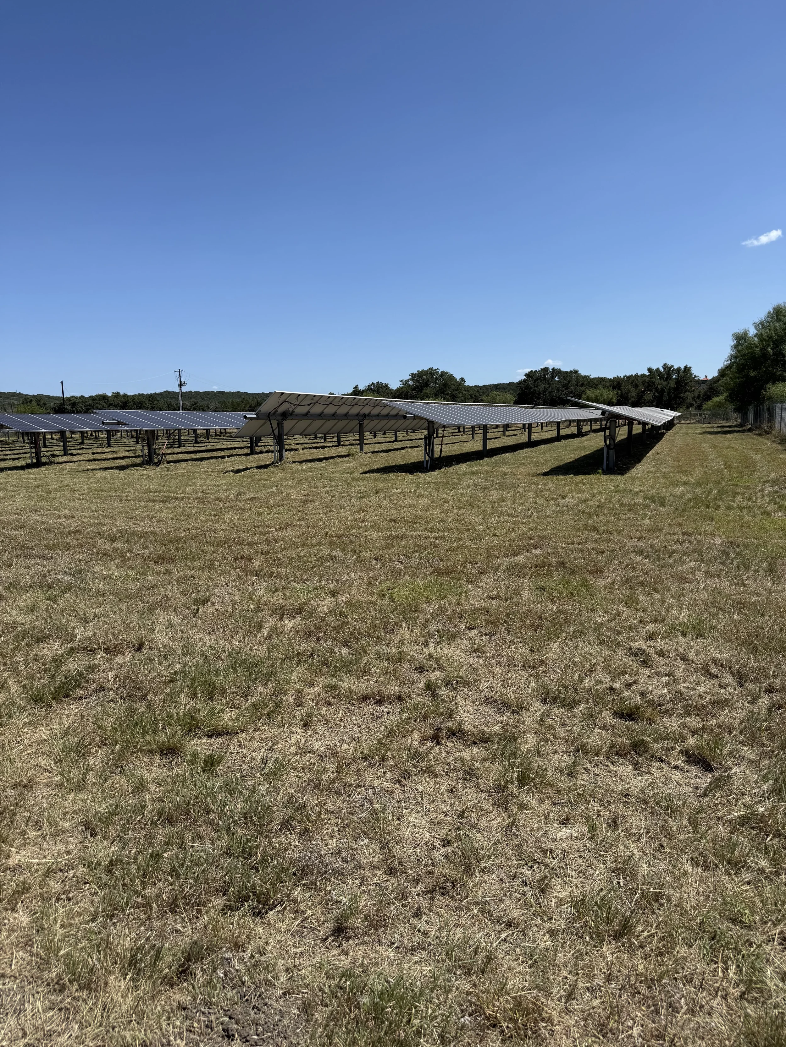 Plan the Season Before It Plans You: Why April Is Too Late on a Texas Site