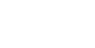University of South Carolina logo with text