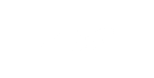 Logo for the Growth Summit 2022 featuring a stylized upward arrow or mountain peak design.