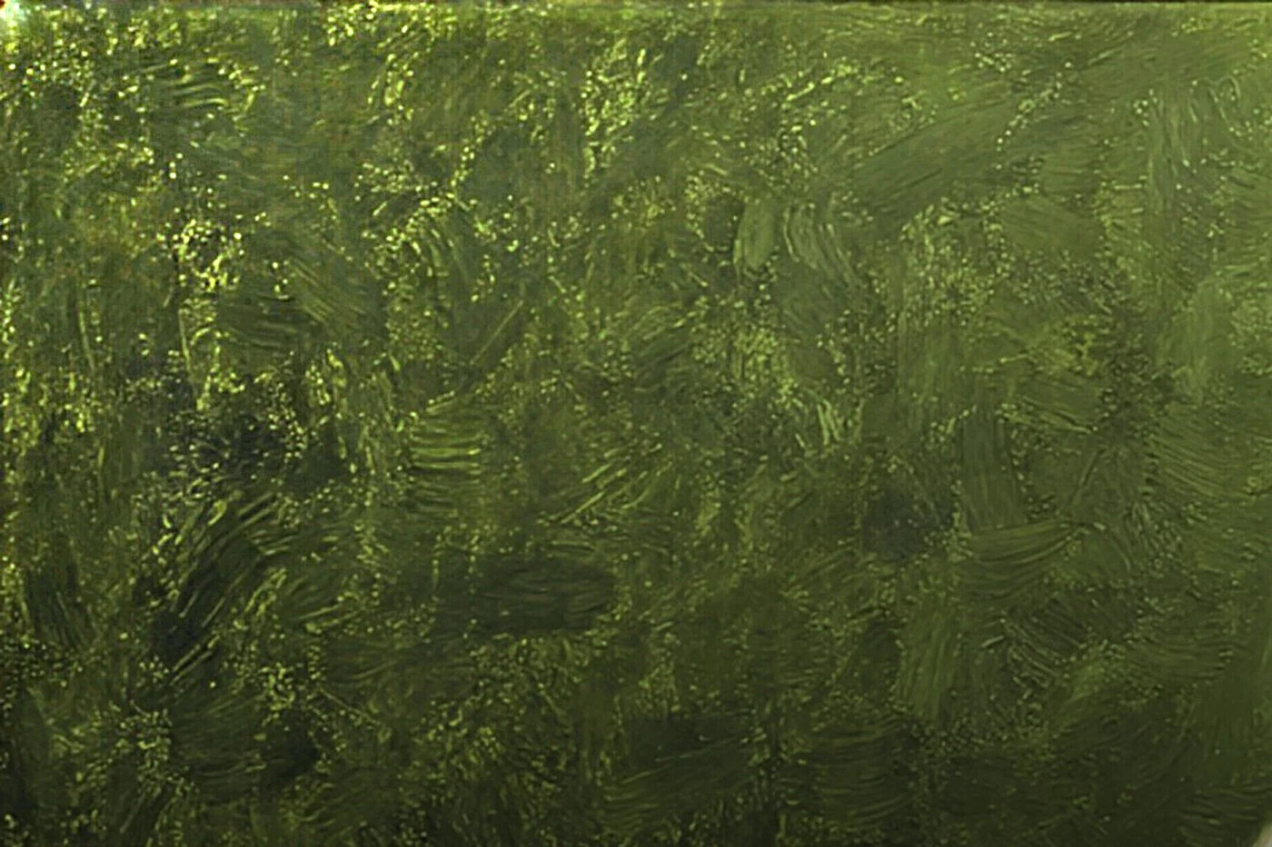 MOSS