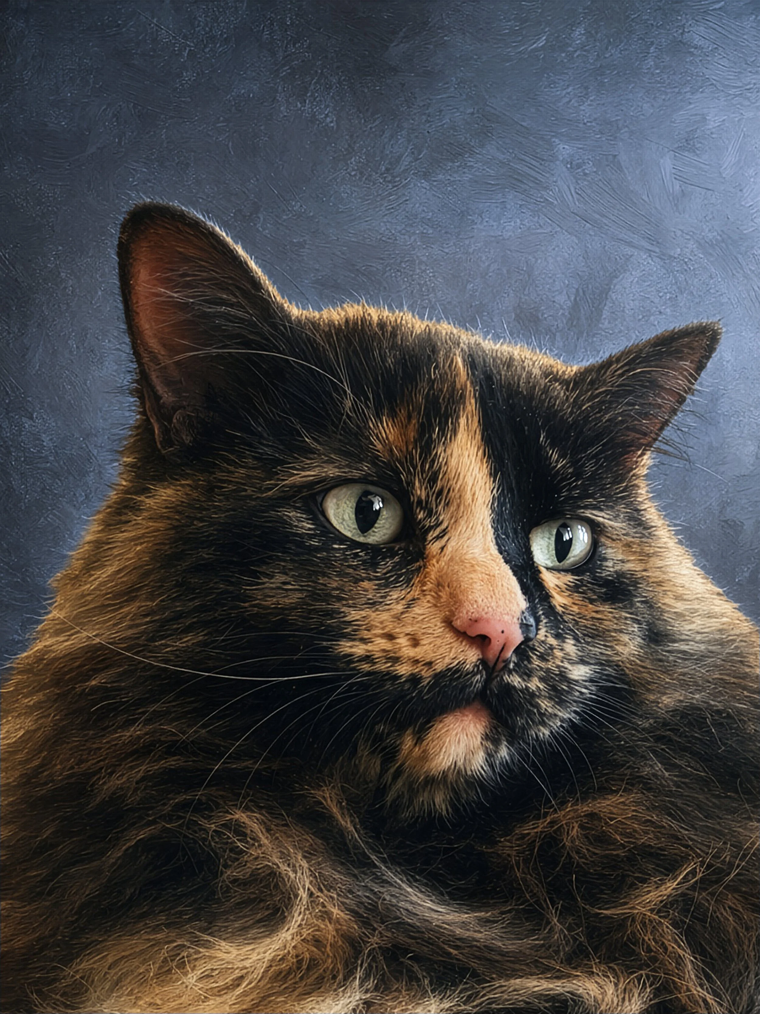 Margaret_2700x3600_Navy.jpg
