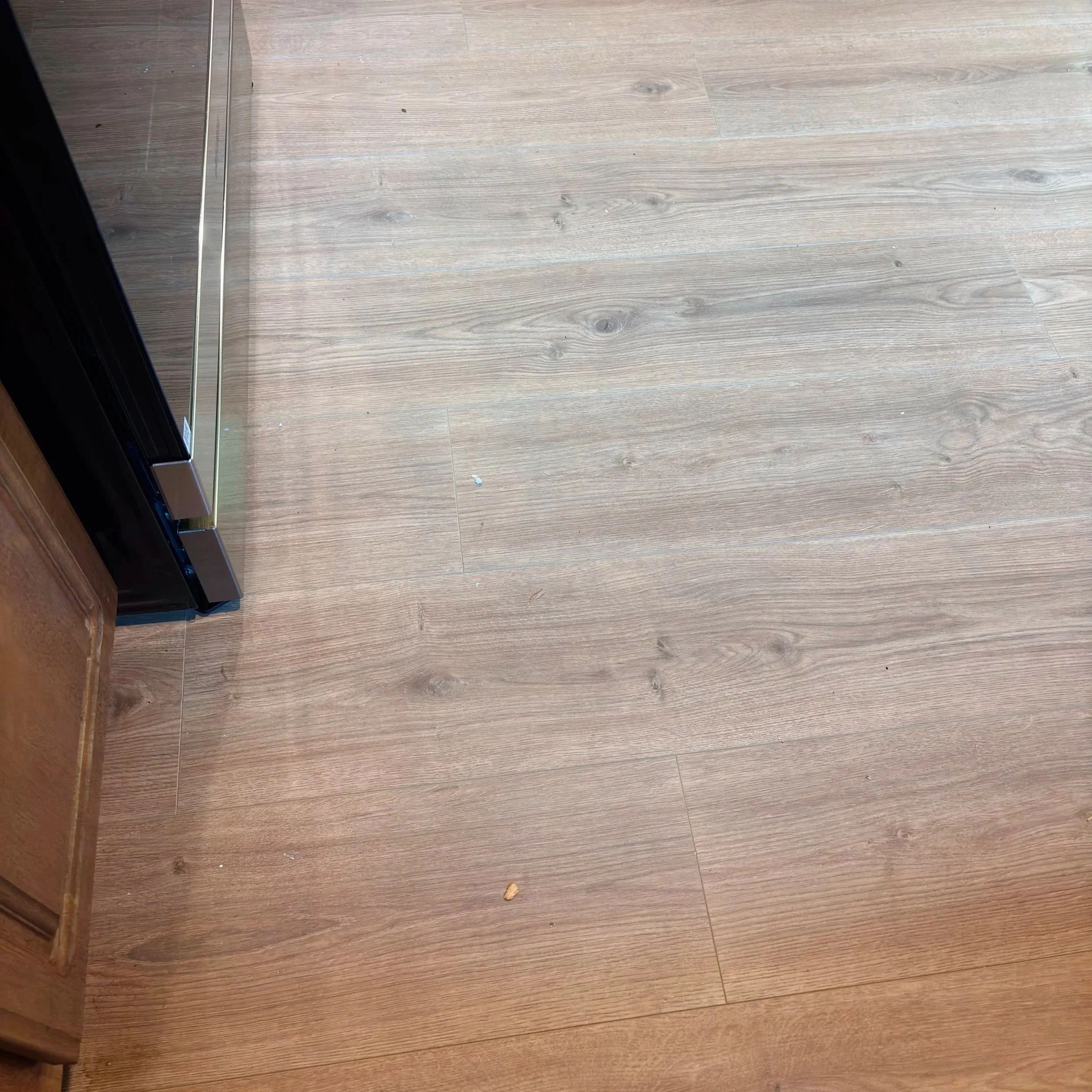 Wooden floor with some small debris, a small piece of food, and a glass door or window in the background.