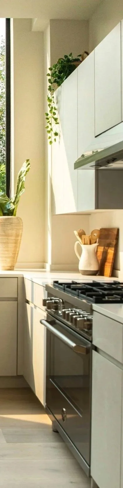 Modern kitchen with white cabinets, with a plant near a window, a white ceramic pitcher holding kitchen utensils, and a gas stove.