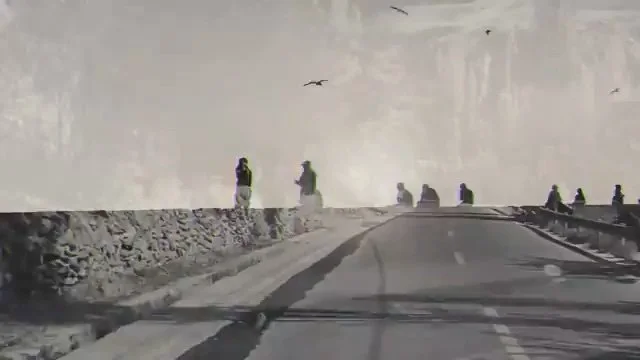 N1.jpg