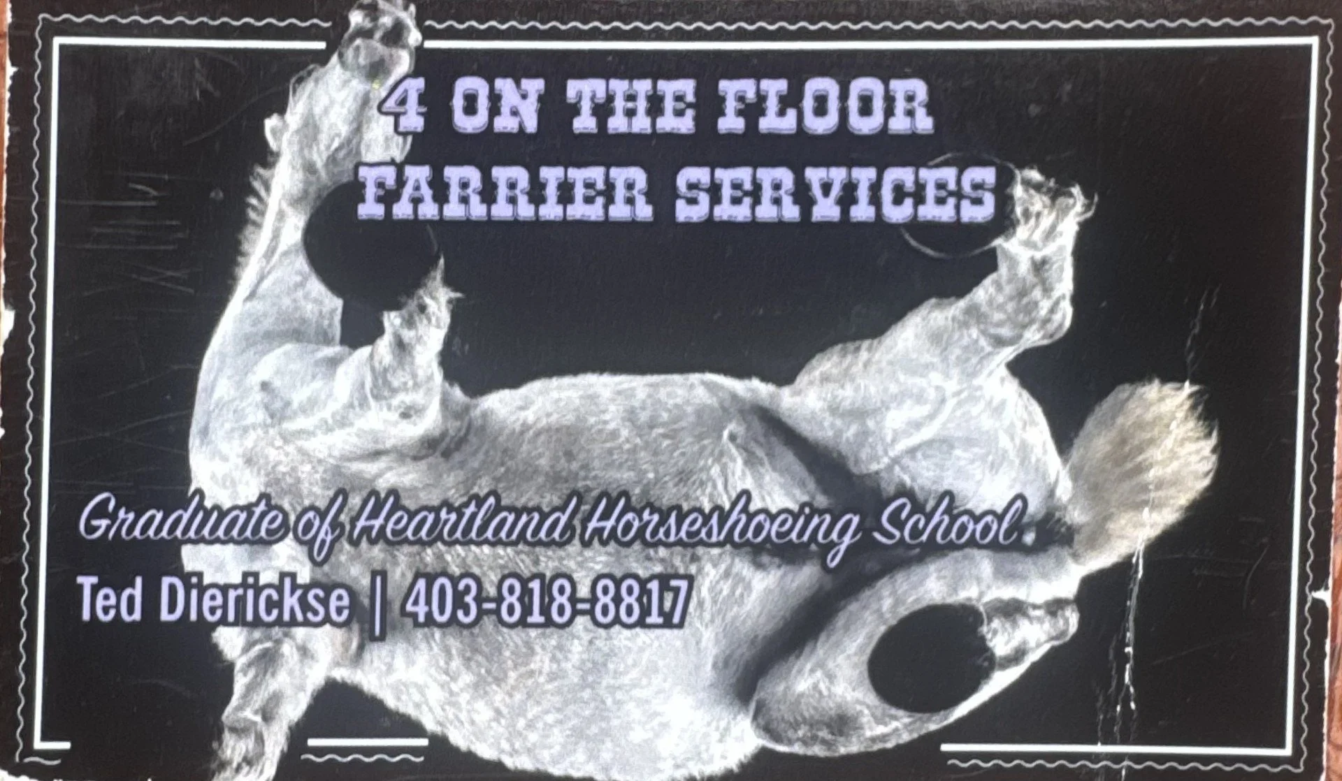 Business card for  4 on the Floor Farrier Service', and additional text indicating a graduation from Heartland Horseshoeing School, along with the name Ted Dierickse and phone number 403-818-8817.