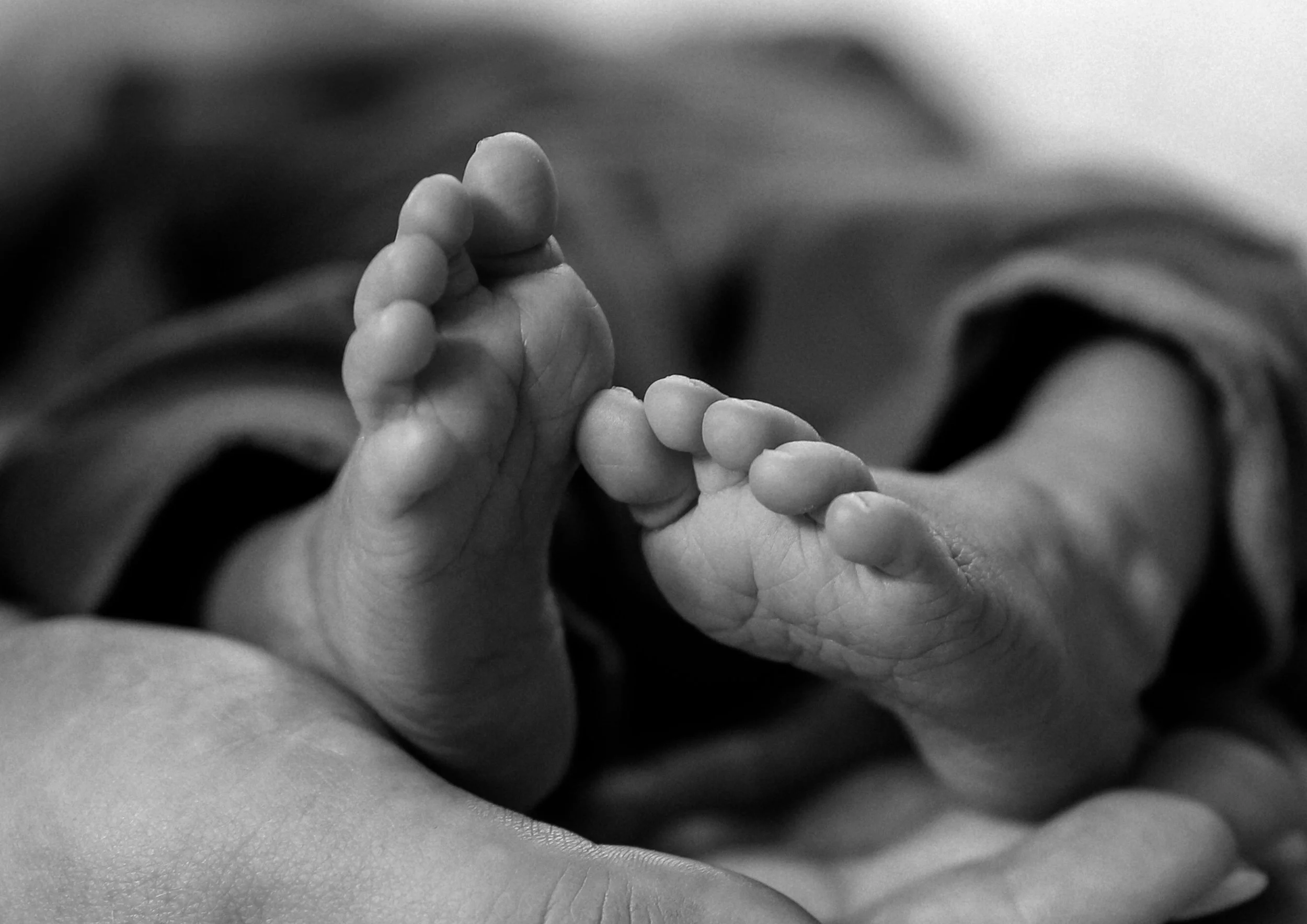 Close-up of tiny baby fingers holding an adult's finger, in black and white.